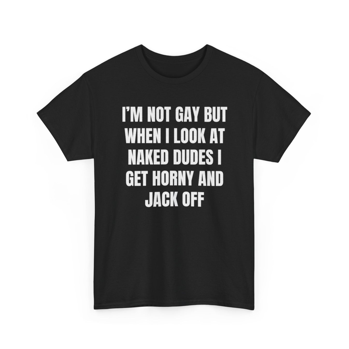 Im Not Gay But When I Look At Naked Dudes Funny Shirt