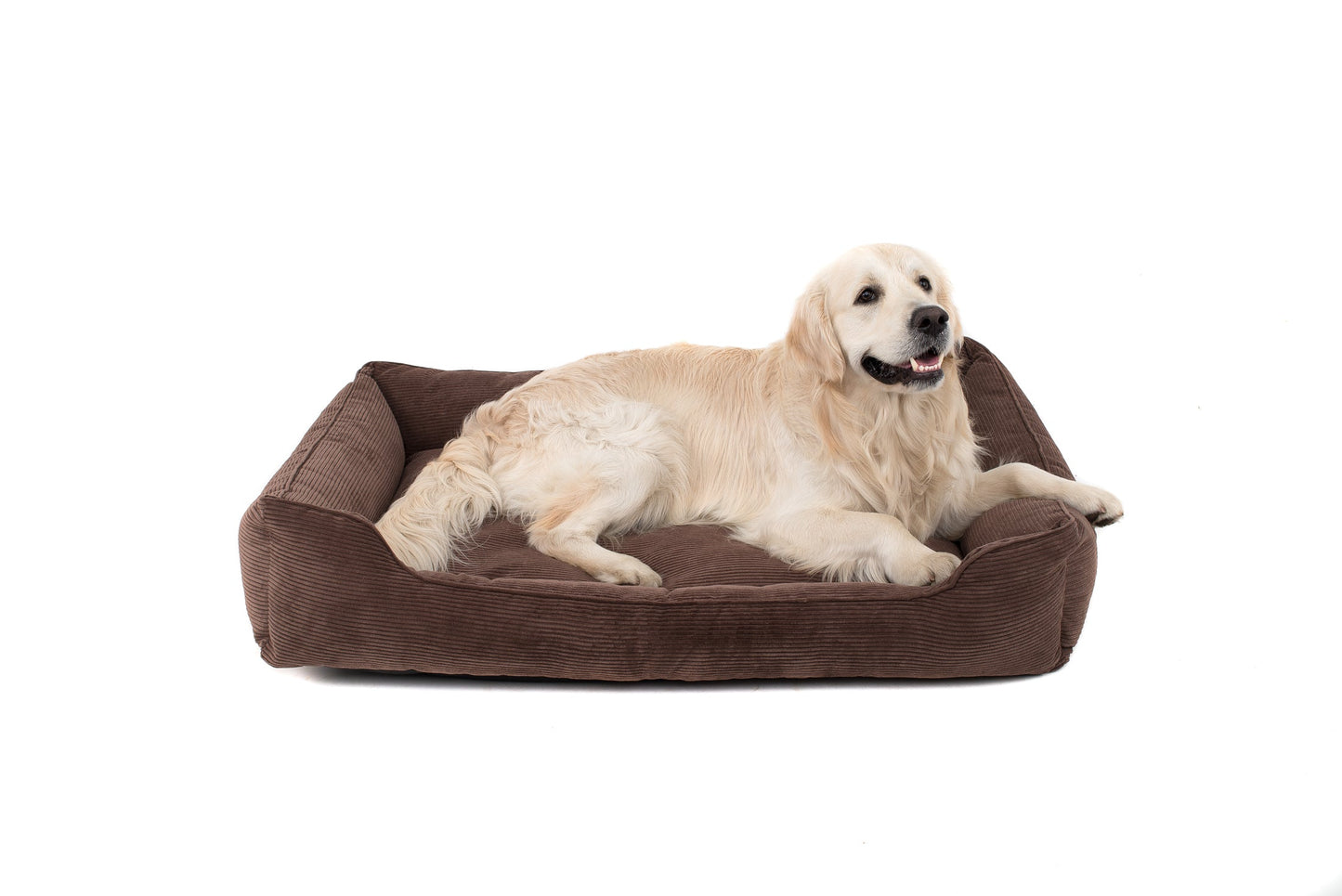 Corduroy Dog Bed Dreamer