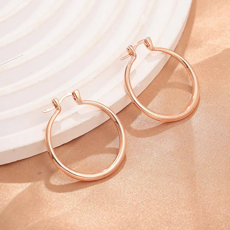 Eye-catching Accessories Fashion Simple Glossy Big Circle Earrings