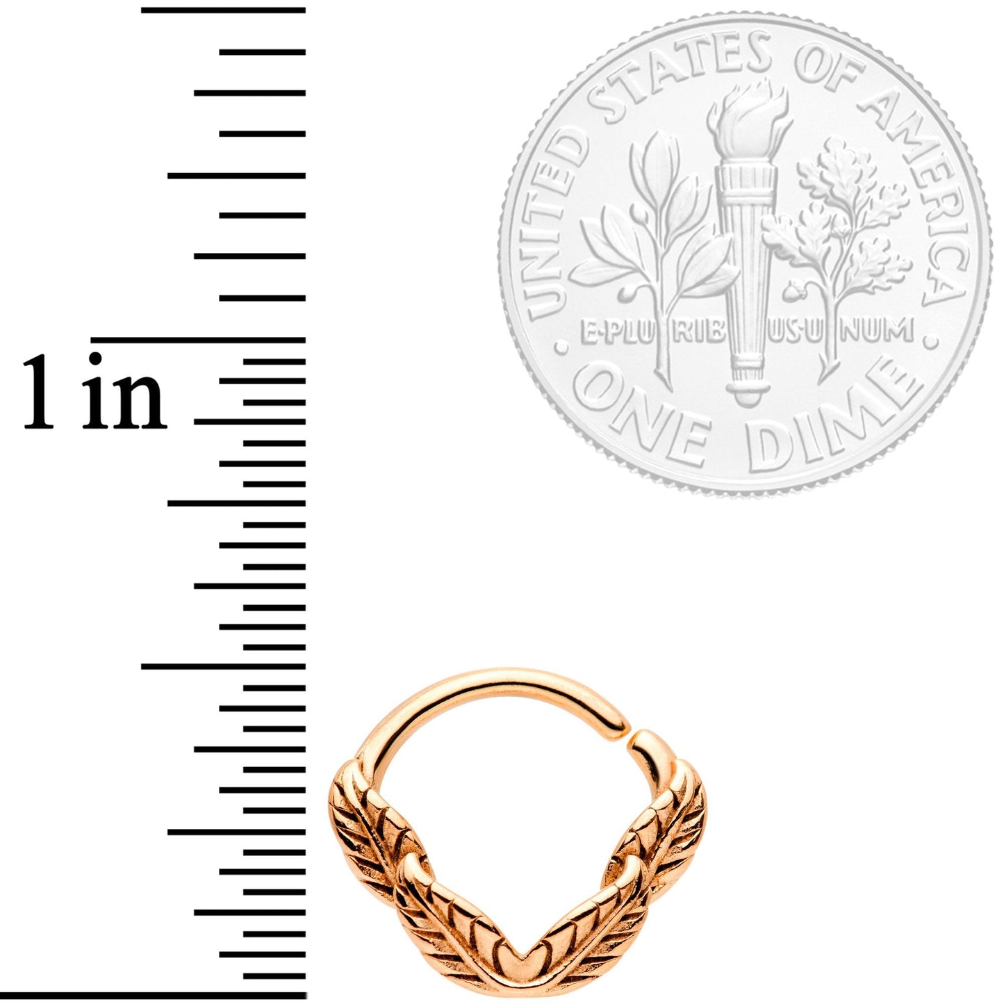 16G 3/8 Rose Gold Tone Ring of Feathers Closure Ring