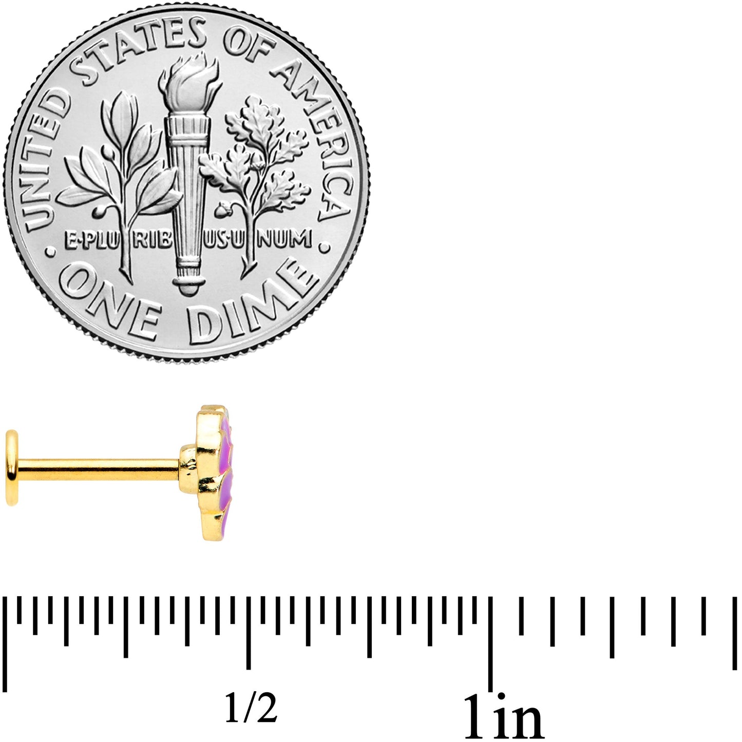 16G 5/16 Gold Tone Sweet Purple Grapes Labret Monroe Tragus