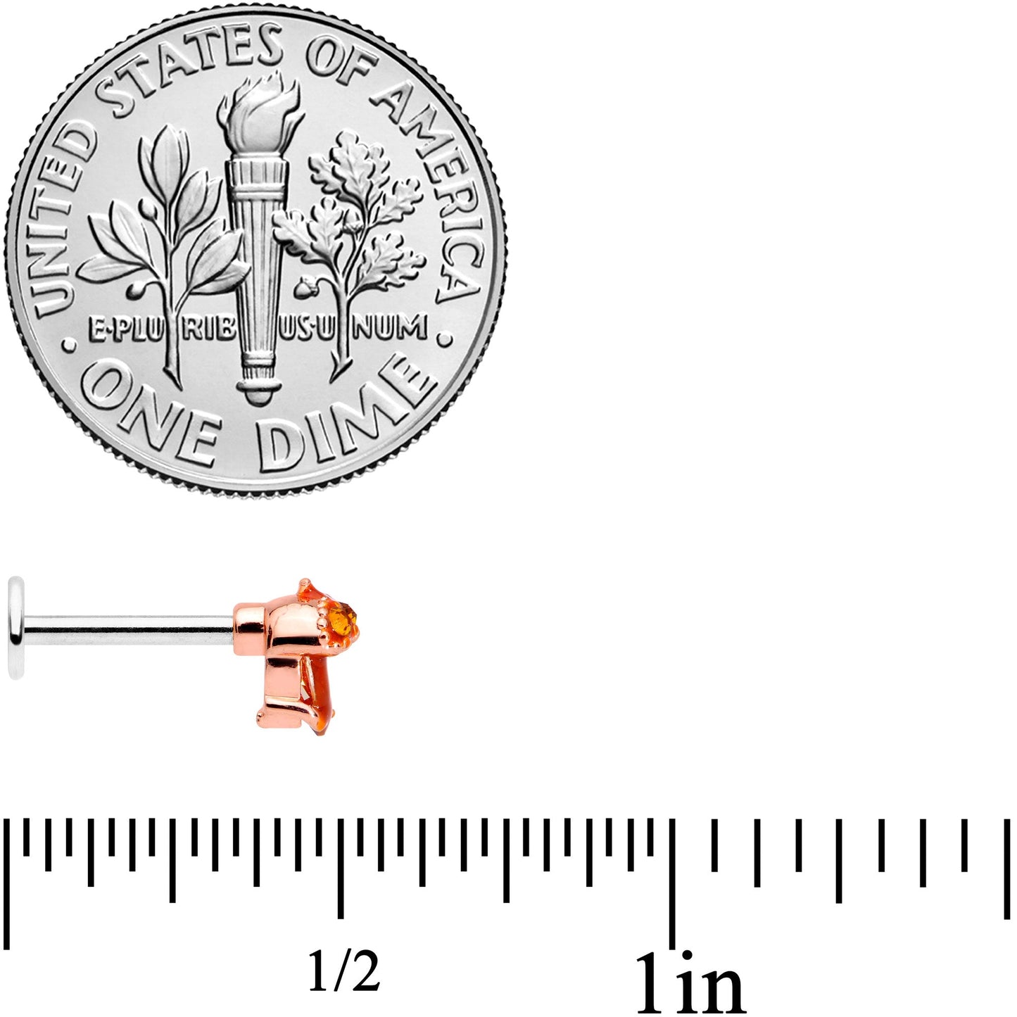 16G 5/16 Brown Gem Fall Autumn Acorn Labret Monroe Tragus