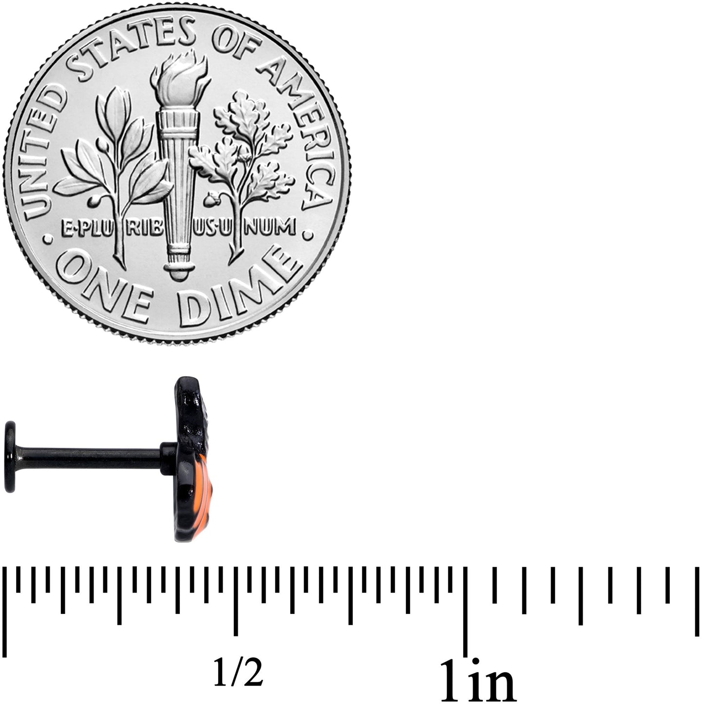 16G 5/16 Black Cat Surprise Pumpkin Halloween Labret Tragus