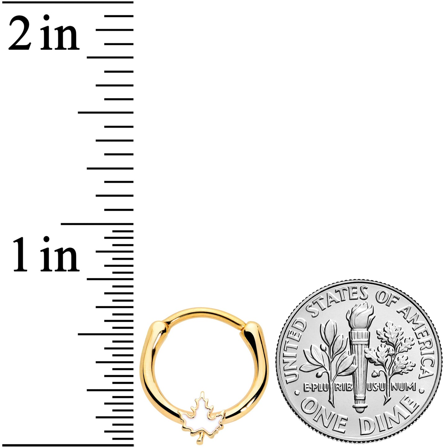 16G 3/8 Gold Tone Autumn White Maple Leaf Cartilage Clicker Ring