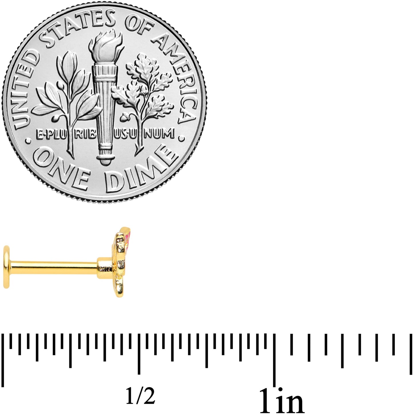 16G 5/16 Gold Tone Sweet Simple Butterfly Labret Monroe Tragus