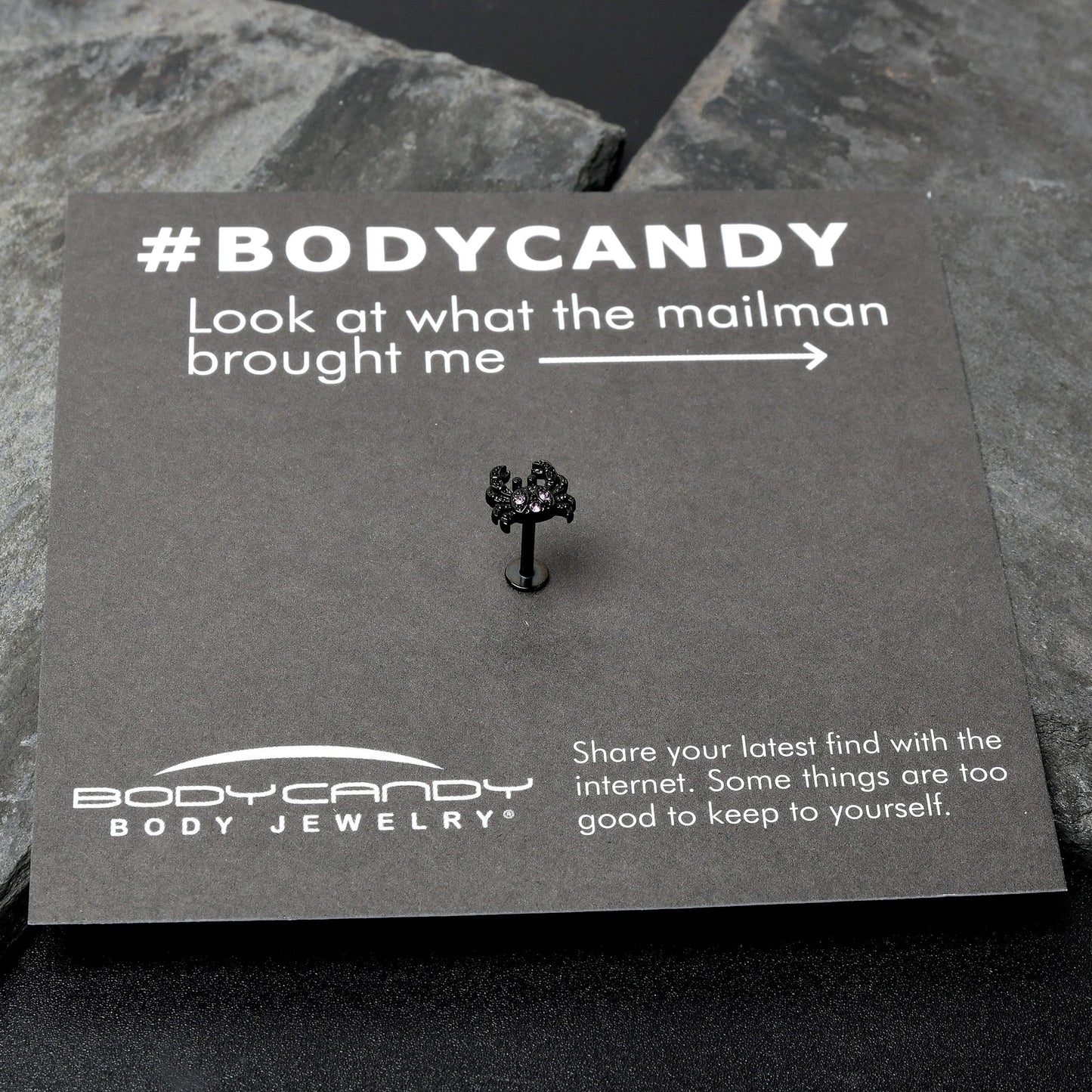 16G 5/16 Purple Gem Black Chic Crab Labret Monroe Tragus