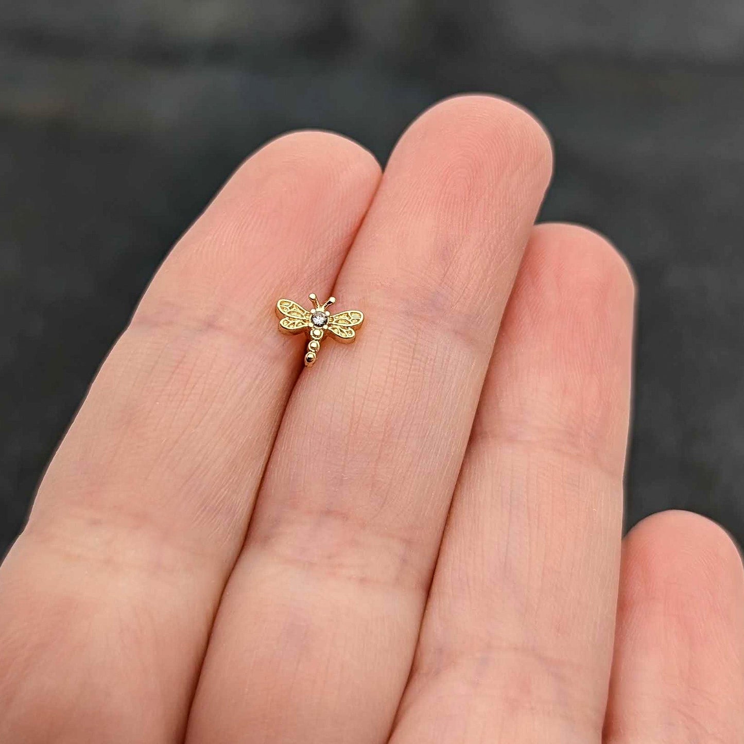 16G 5/16 Clear Gem Gold Hue Flying Dragonfly Labret Monroe Tragus