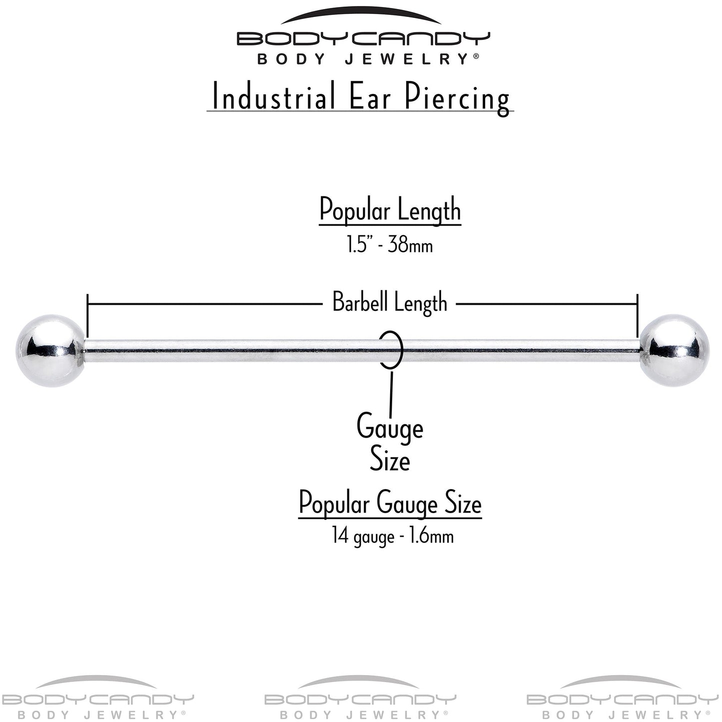 14G Cheery Inlay Sunflowers Industrial Barbell 38mm