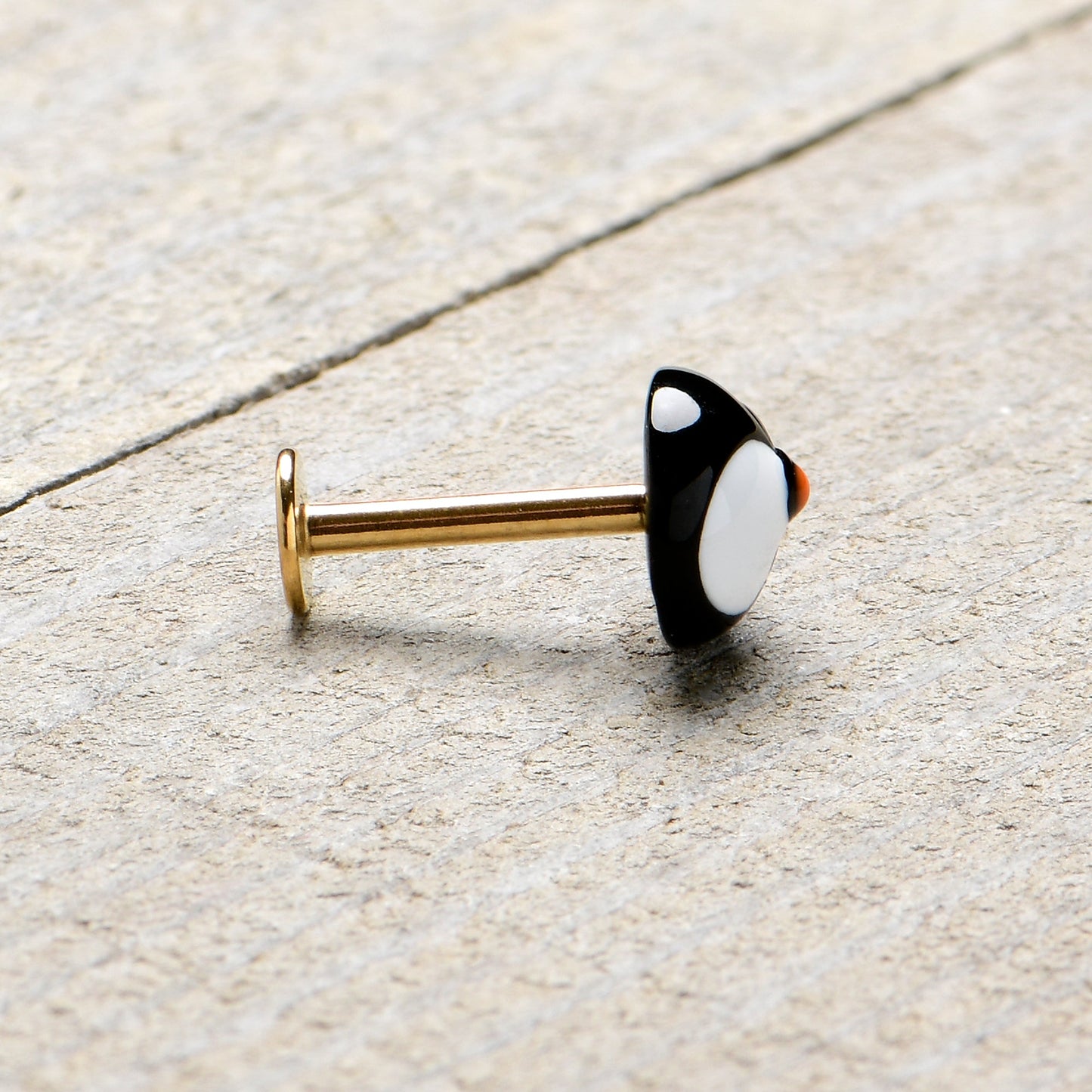 16G 5/16 Gold Hue Round Penguin Face Holiday Labret Monroe Tragus