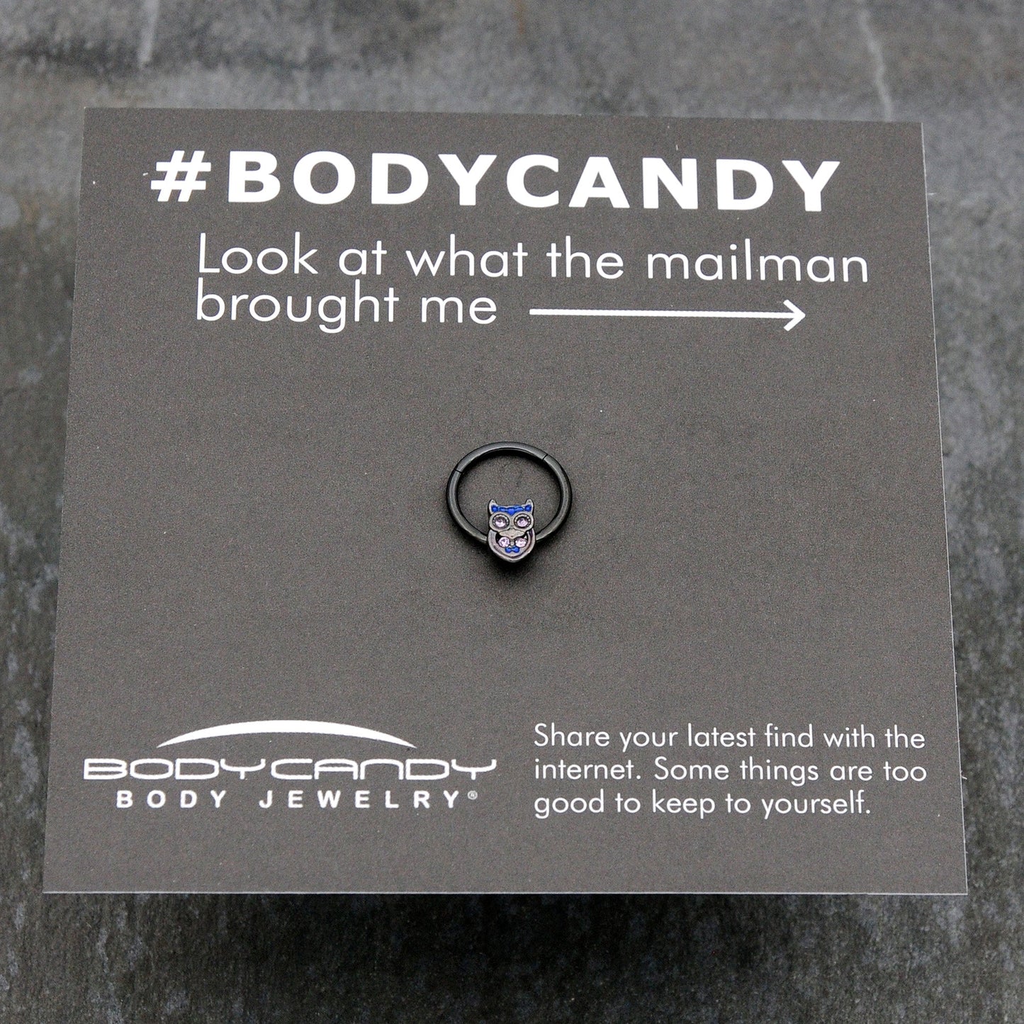 16G 3/8 Purple Gem Black Opulent Owl Hinged Segment Ring