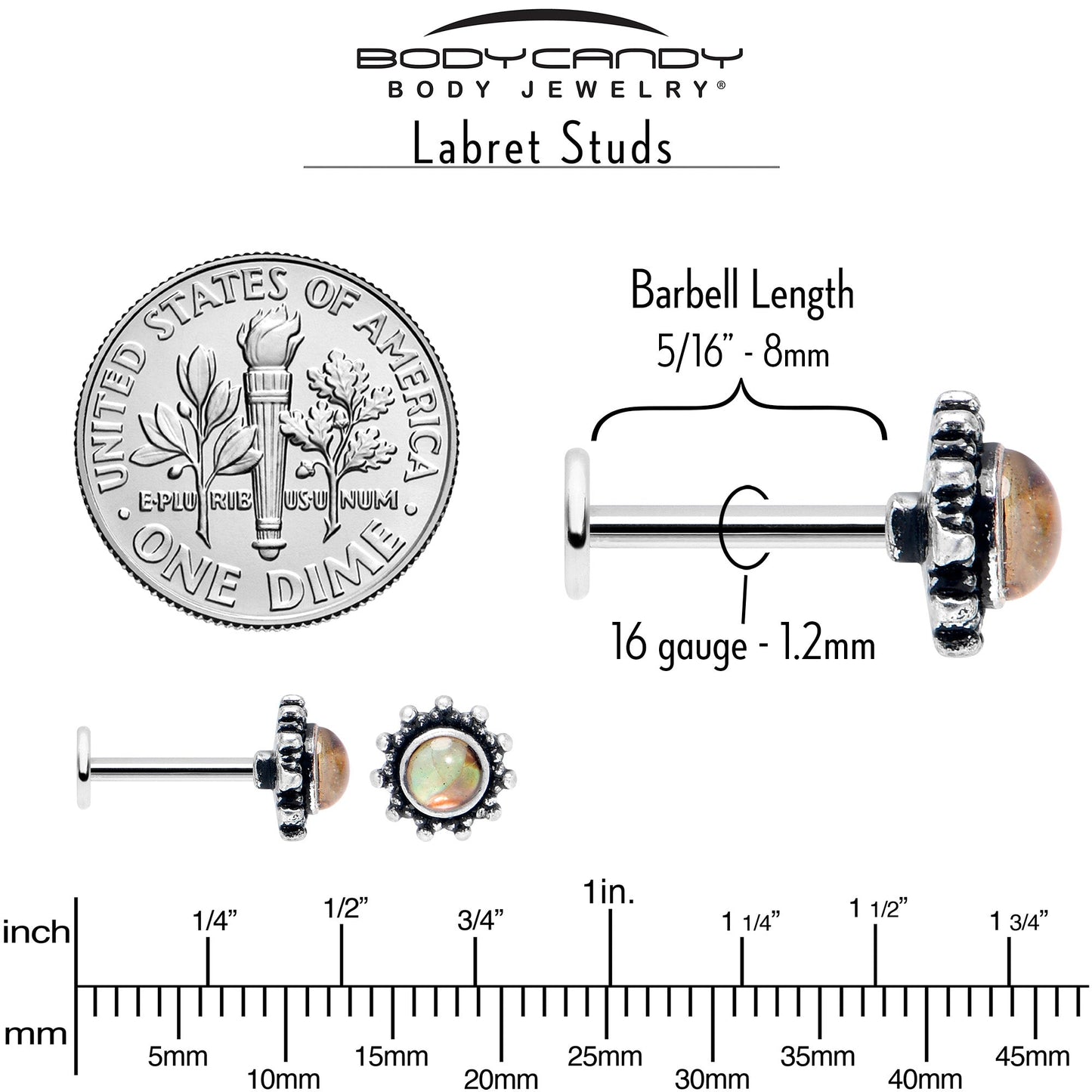 16G 5/16 Brown Faux Shell Circle of Glam Labret Monroe Tragus