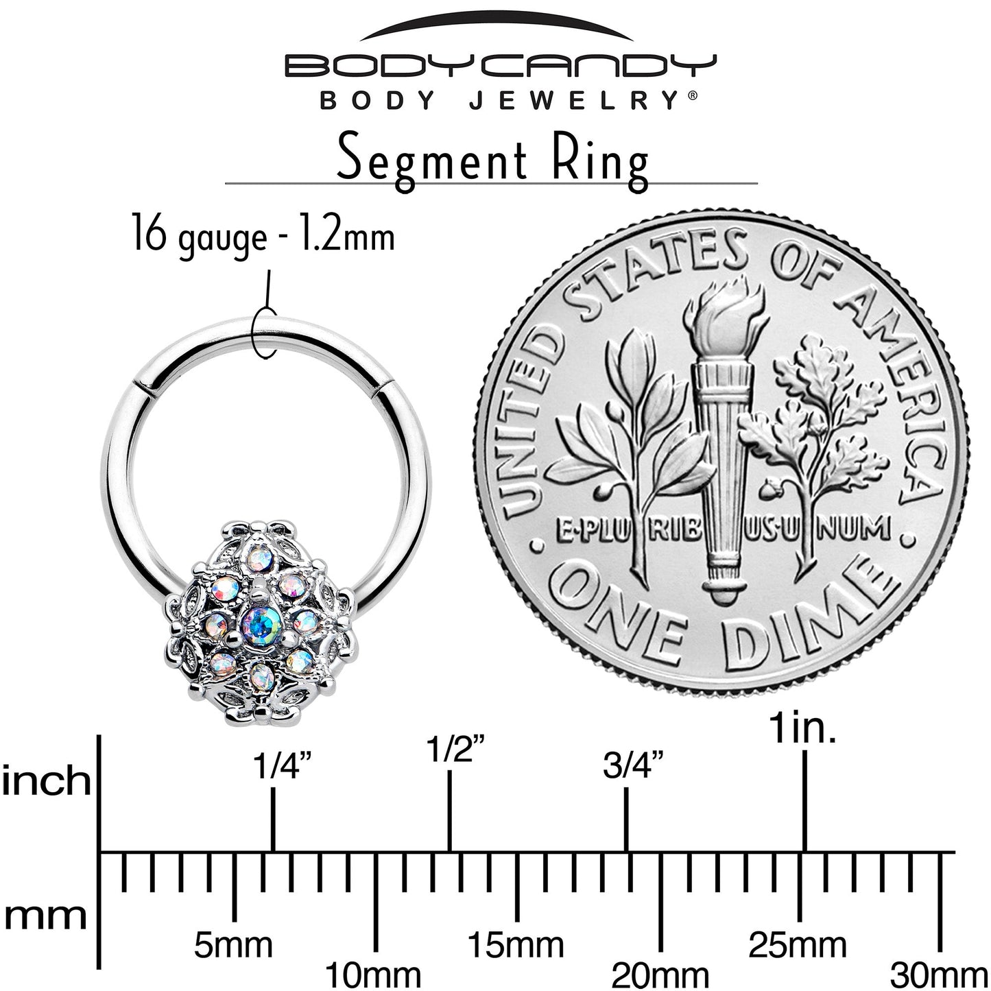 16G 3/8 Aurora Gem Retro Sunburst Hinged Segment Ring