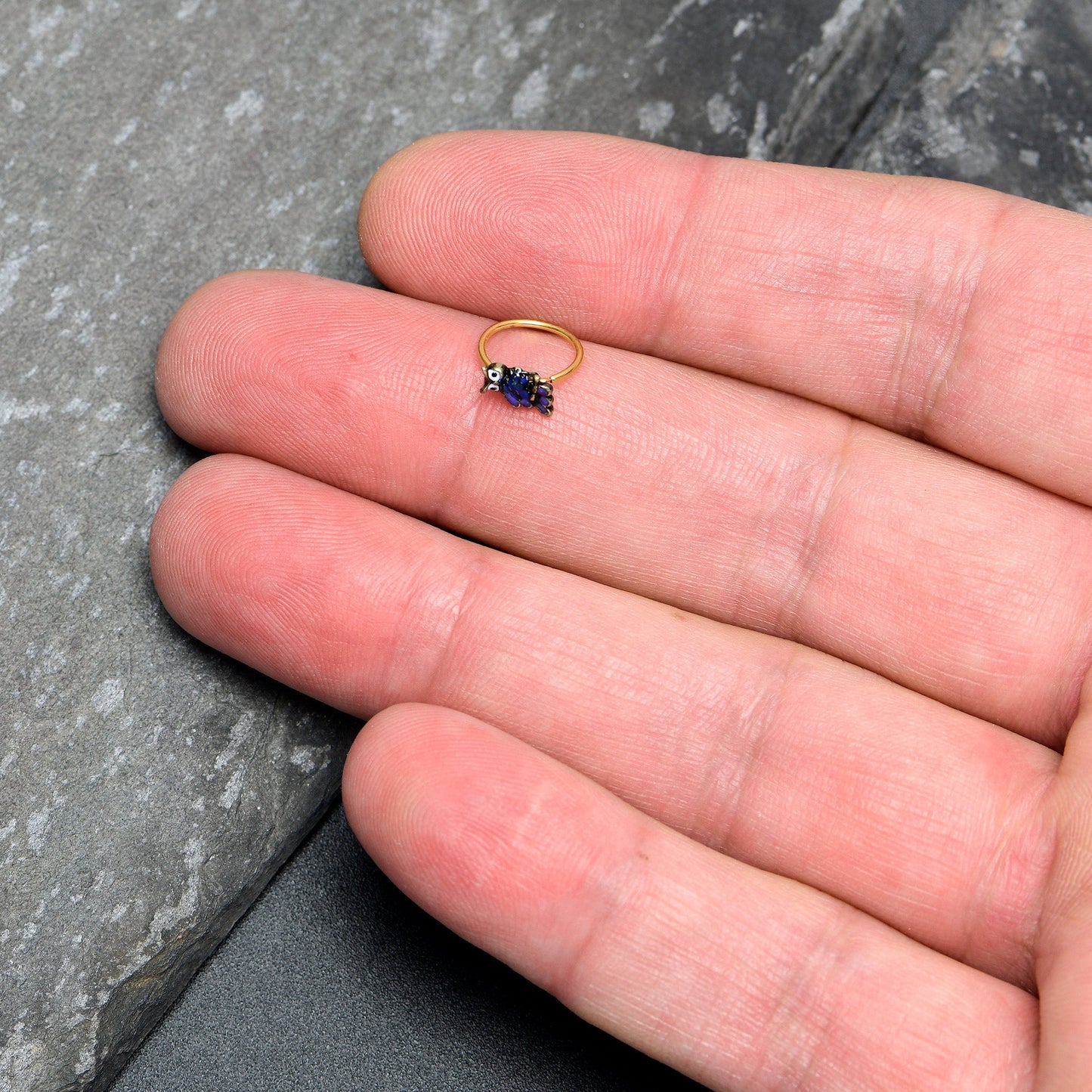 20G 5/16 Gold Tone Regal Owl Blue Nose Hoop