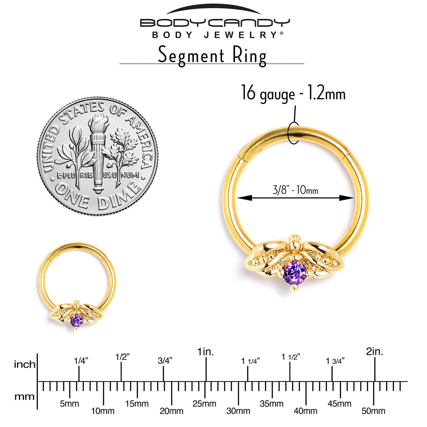 16G 3/8 Purple Gem Gold Tone Beauty Bug Hinged Segment Ring