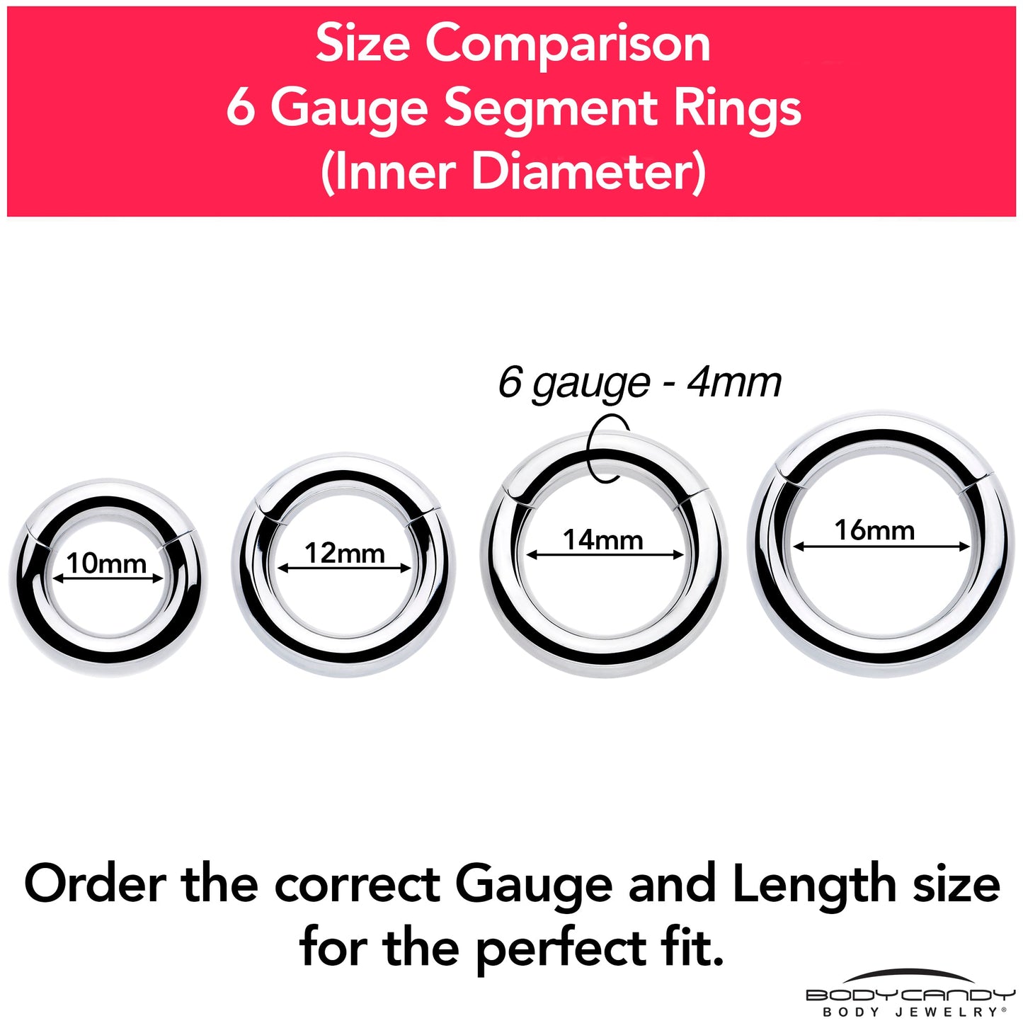 6G 9/16 316L Surgical Steel Precision Hinged Segment Hoop
