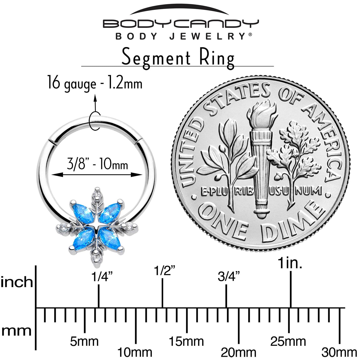 16G 3/8 Blue CZ Gem Classic Flower Hinged Segment Ring