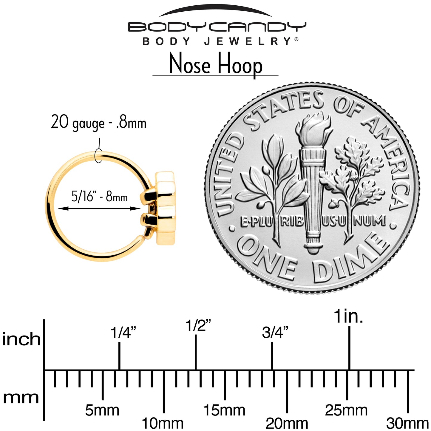 20G 5/16 Clear CZ Gem Gold Tone Bee Hive Luv Nose Hoop Set of 2