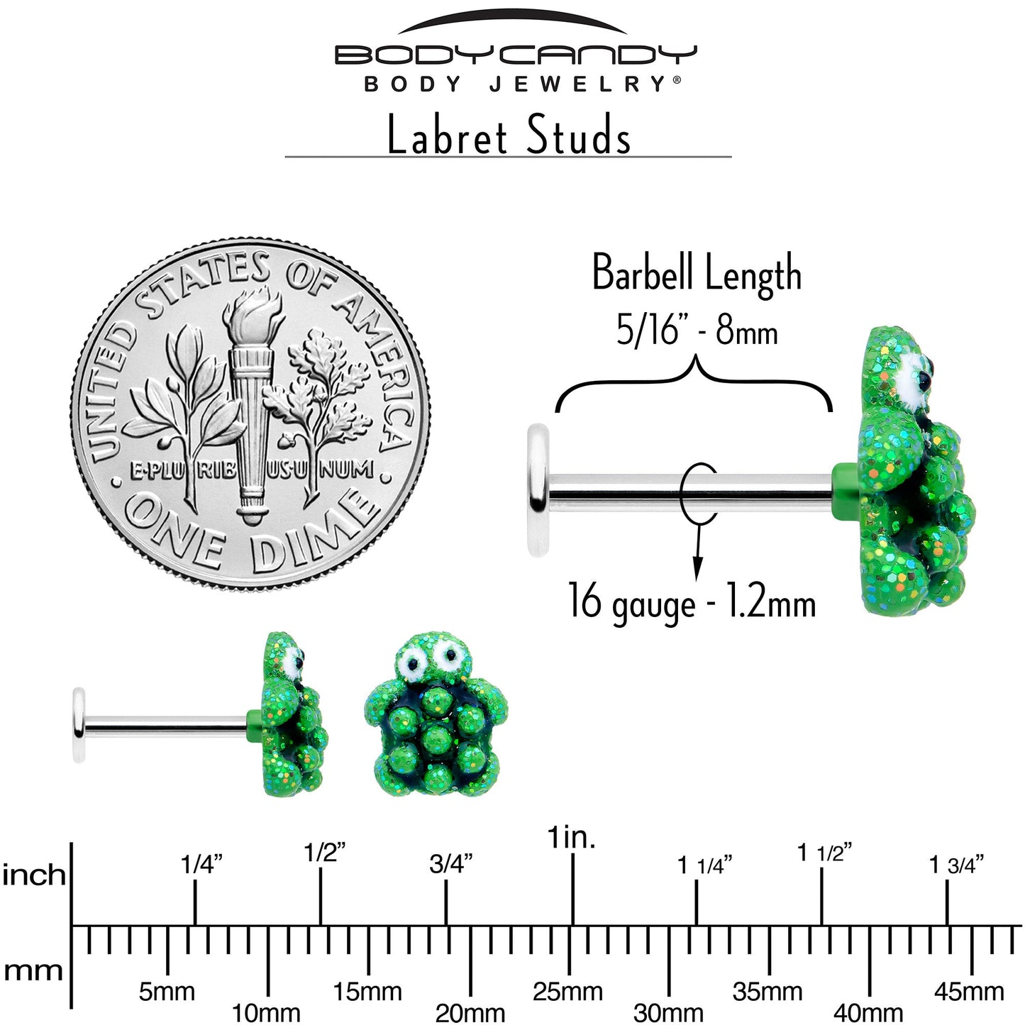 16G 5/16 Texture Turtle Labret Monroe Tragus