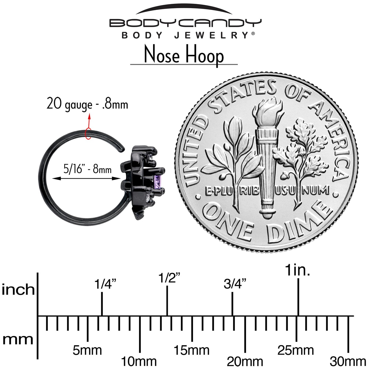 20G 5/16 Purple Gem Black Twining Vine Nose Hoop