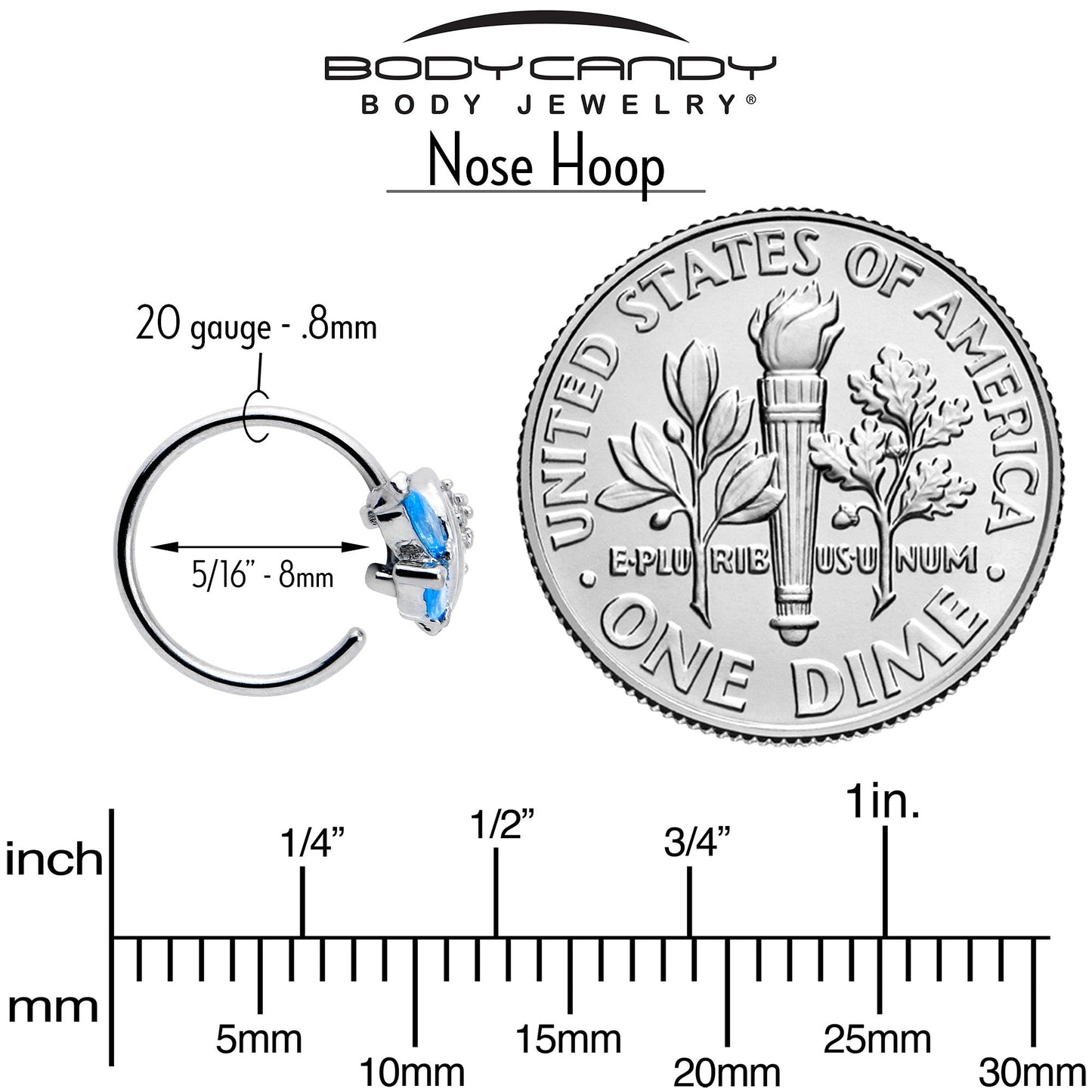20G 5/16 Blue CZ Gem Swirl Fan Nose Hoop