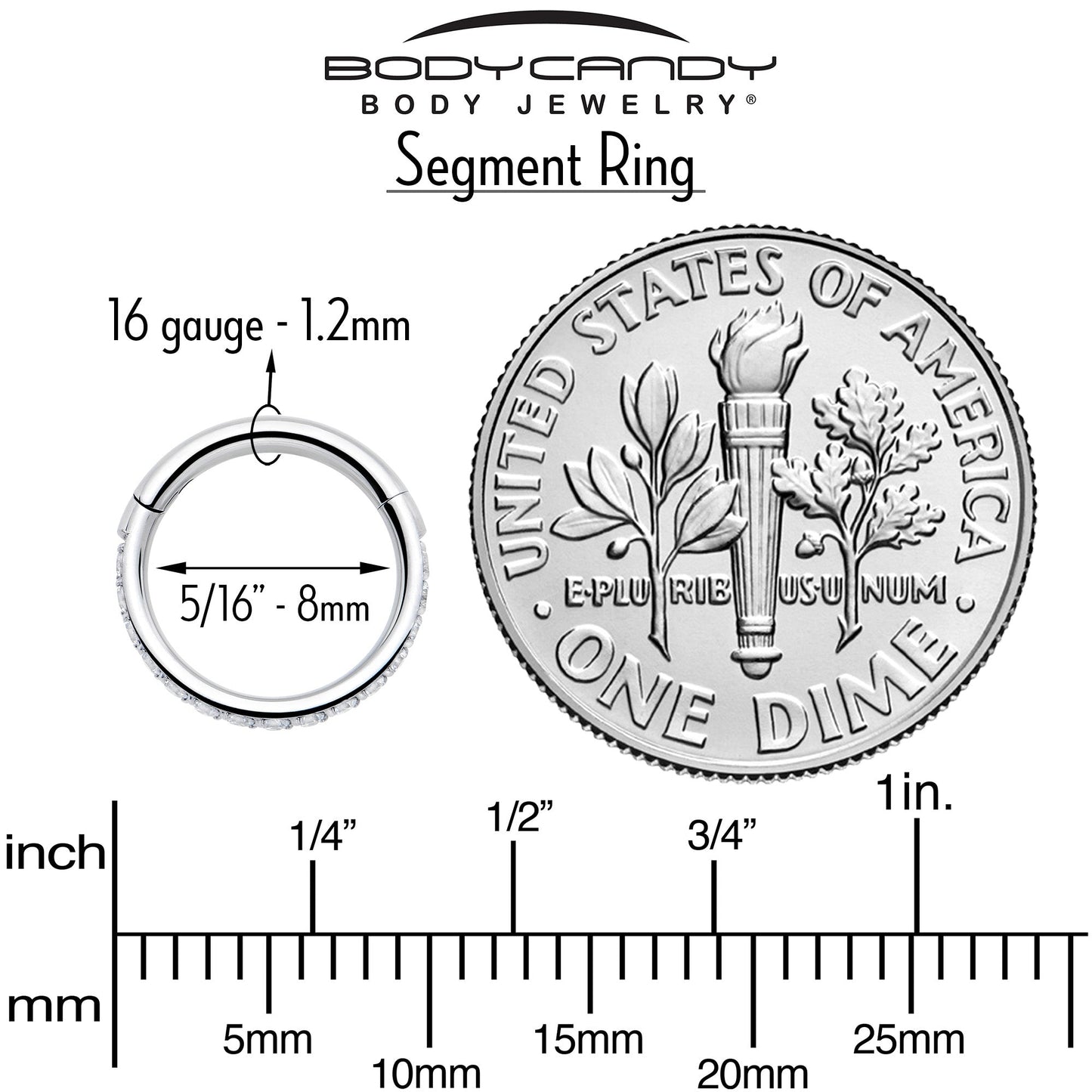 16G Clear Cubic Zirconia Forward Facing Hinged Segment Ring