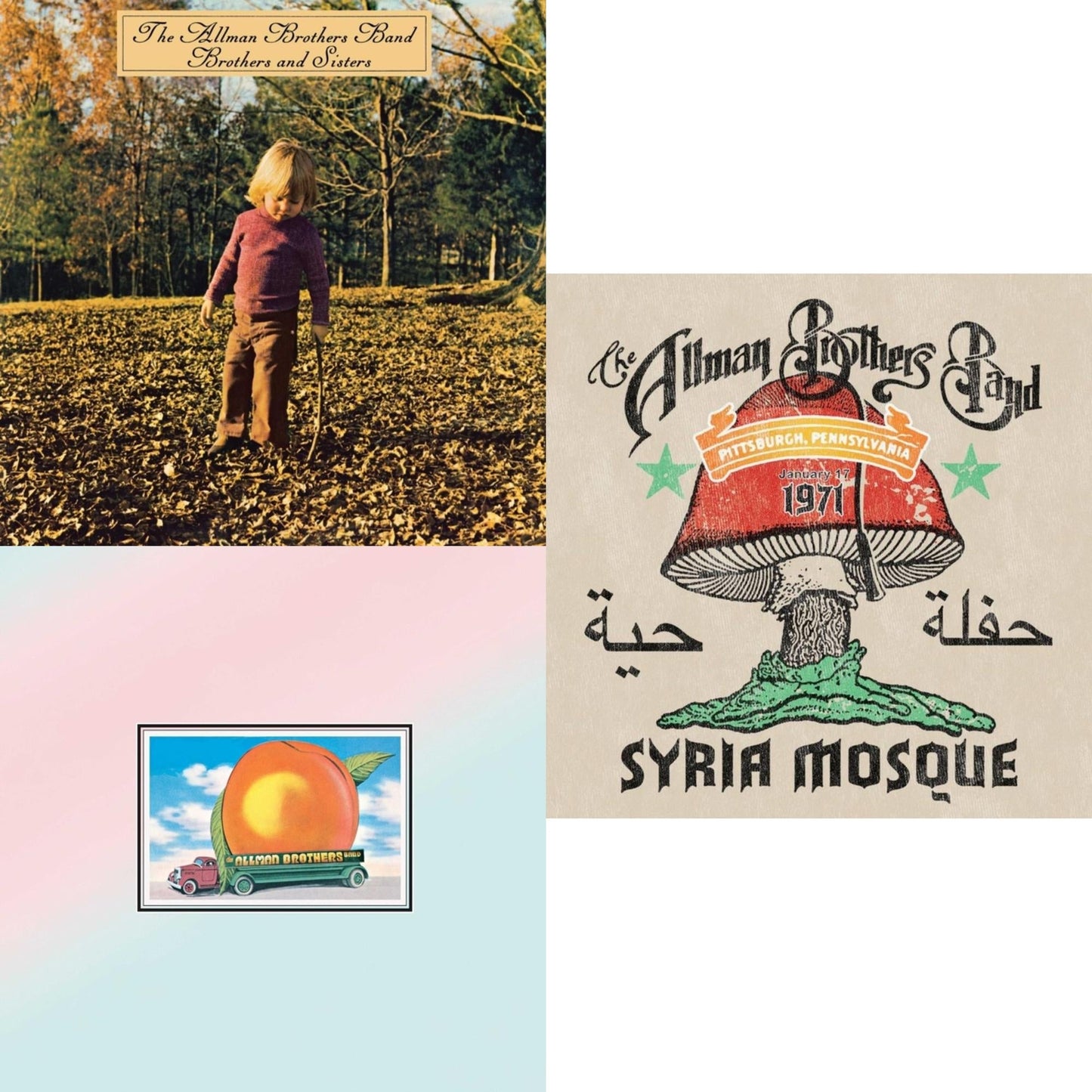 Brothers & Sisters & Eat A Peach (2LP) & Syria Mosque: Pittsburgh, Pa January 17, 1971 (Live) (Pittsburgh Steel Gray Vinyl/2LP)