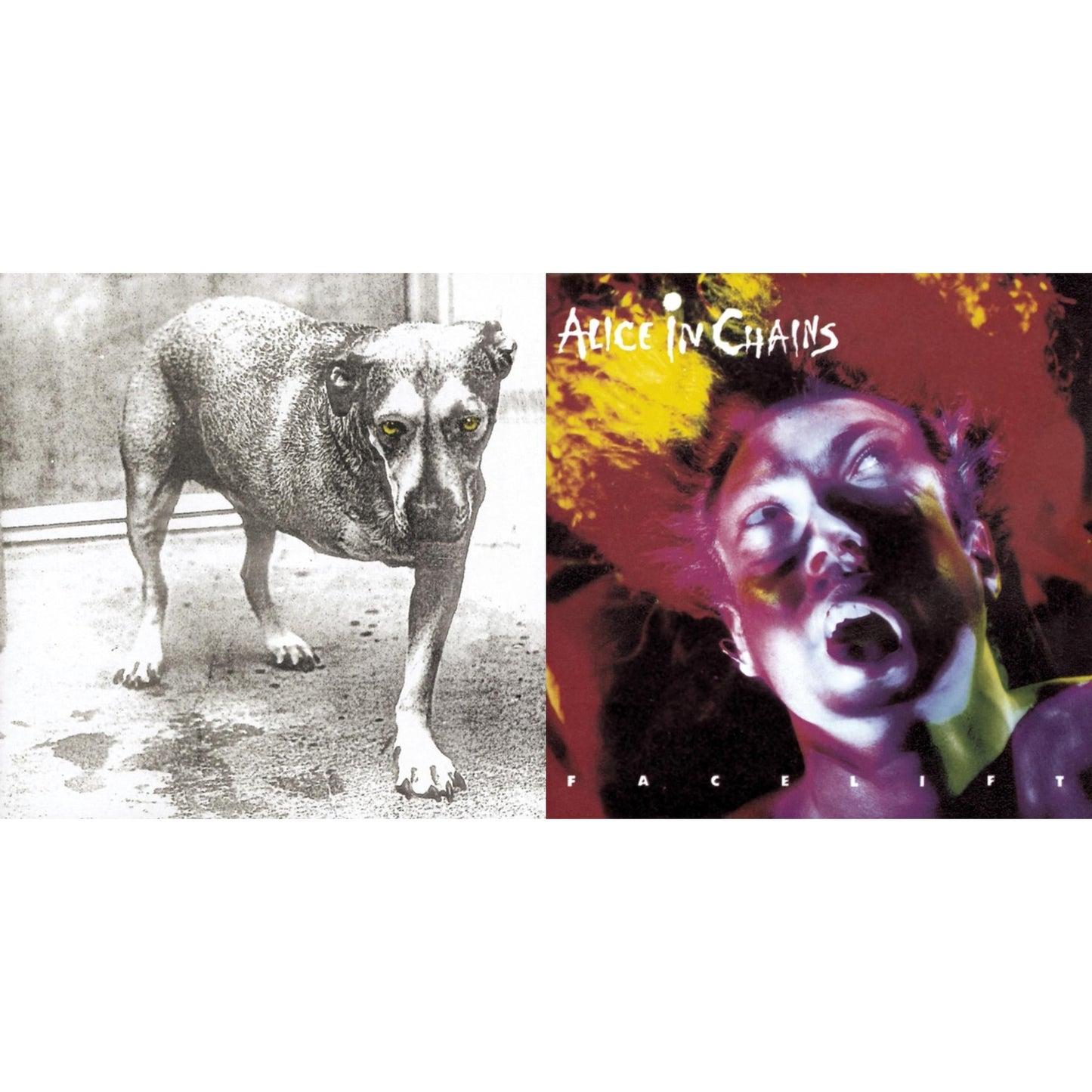Alice In Chains - Facelift & Alice In Chains - CD Bundle