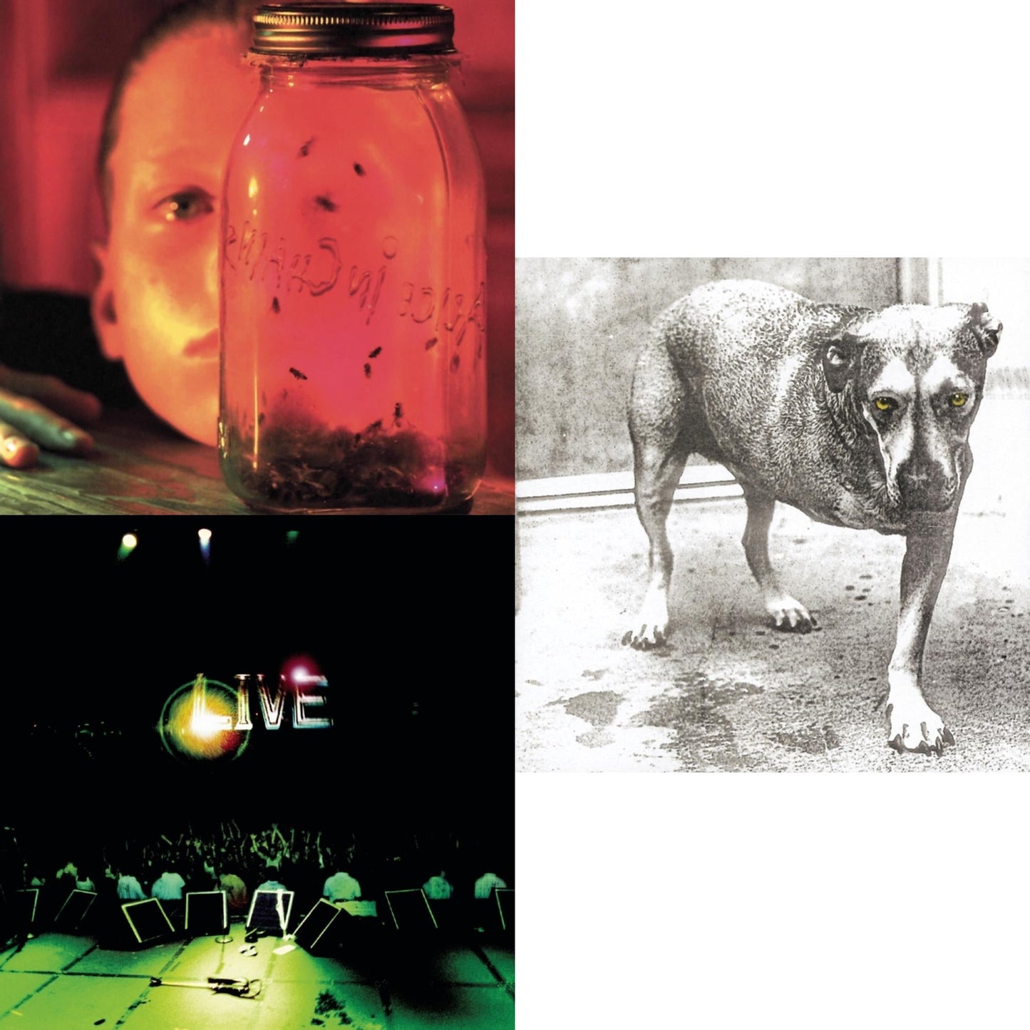 Jar Of Flies & Live & Alice In Chains