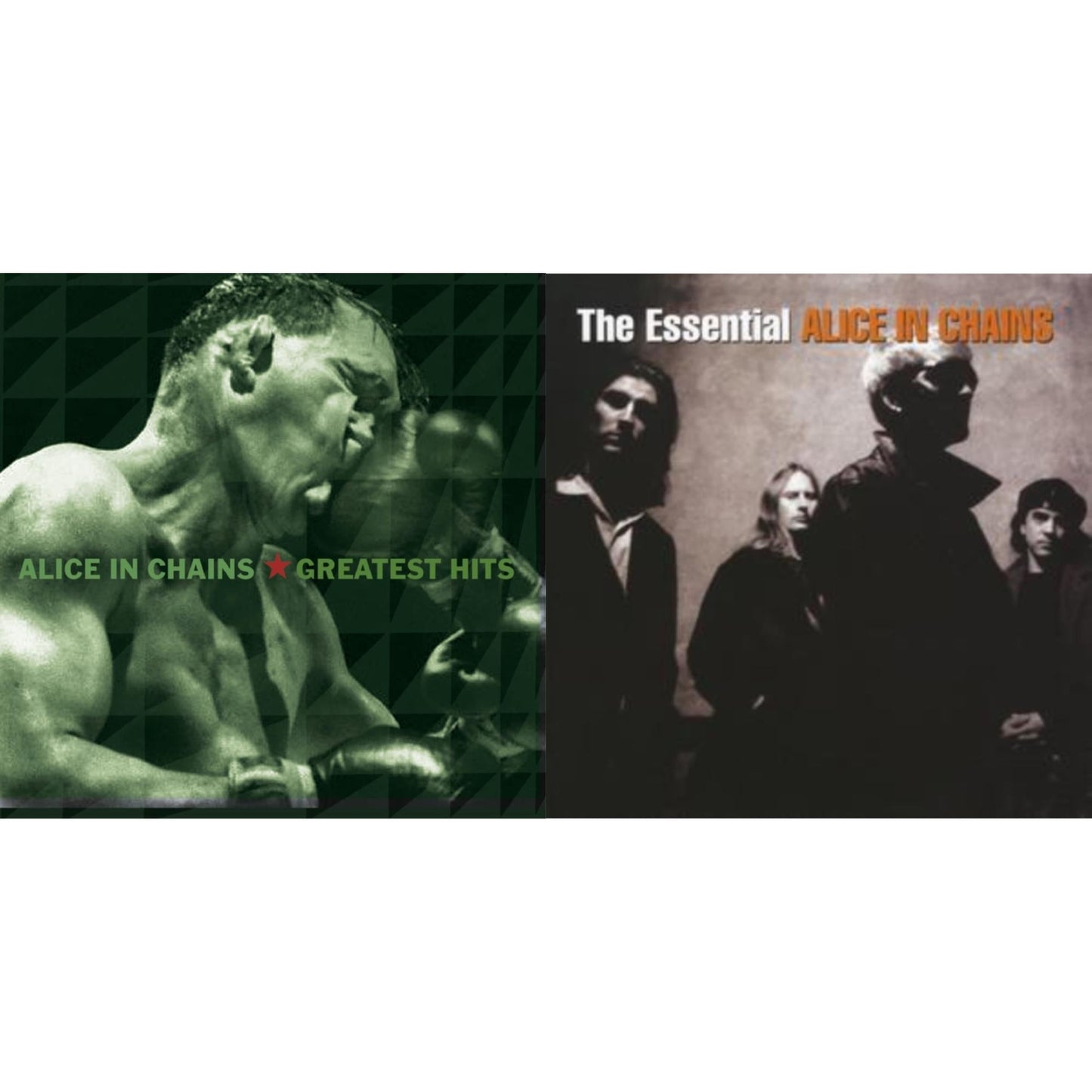 Greatest Hits & Essential Alice In Chains