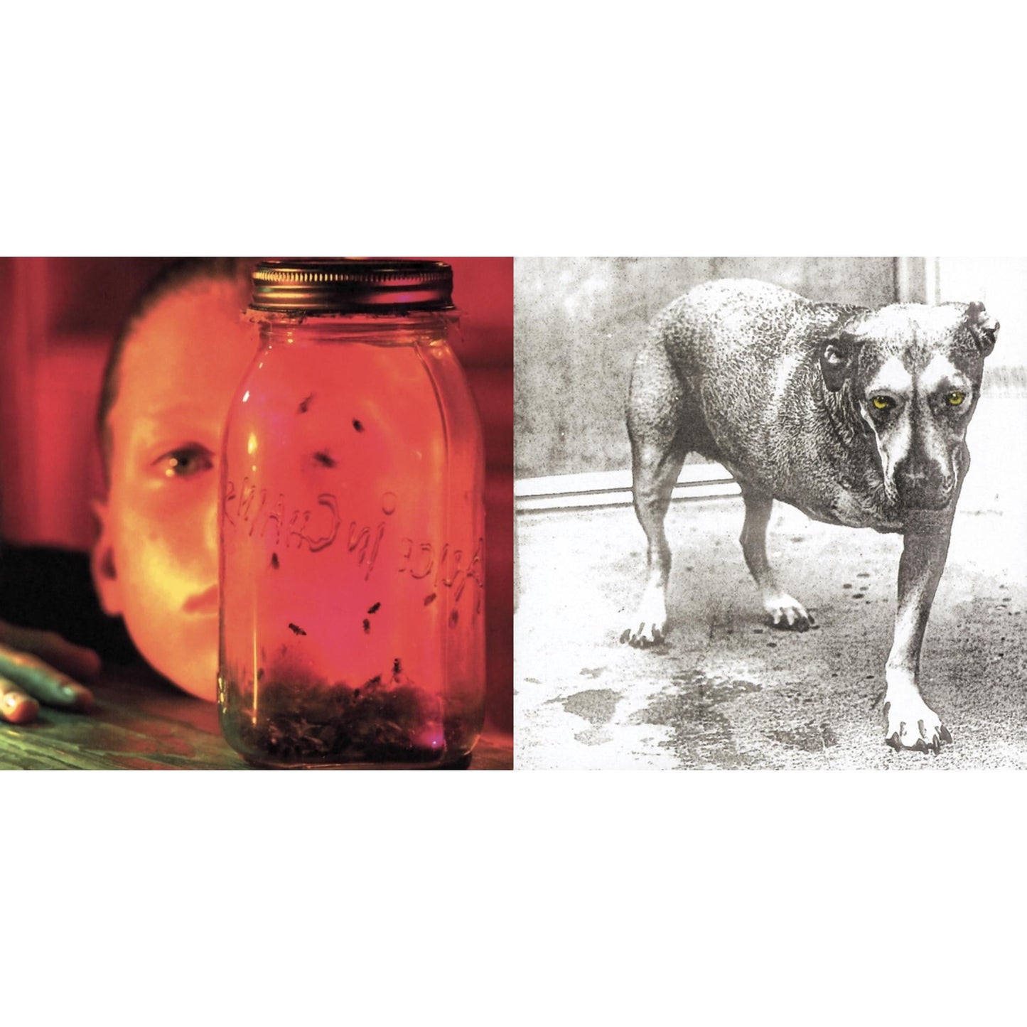 Jar Of Flies & Alice In Chains