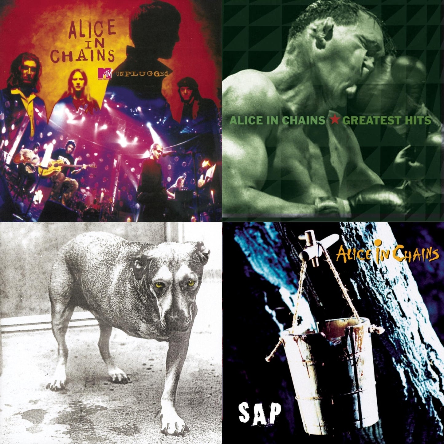 Greatest Hits & Unplugged & Sap & Alice In Chains