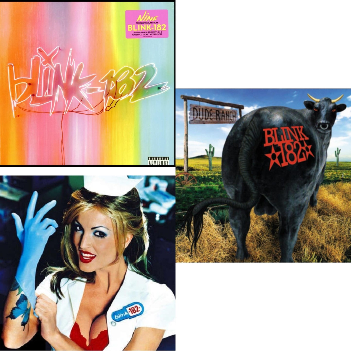 Nine (140G) & Enema Of The State (X) & Dude Ranch