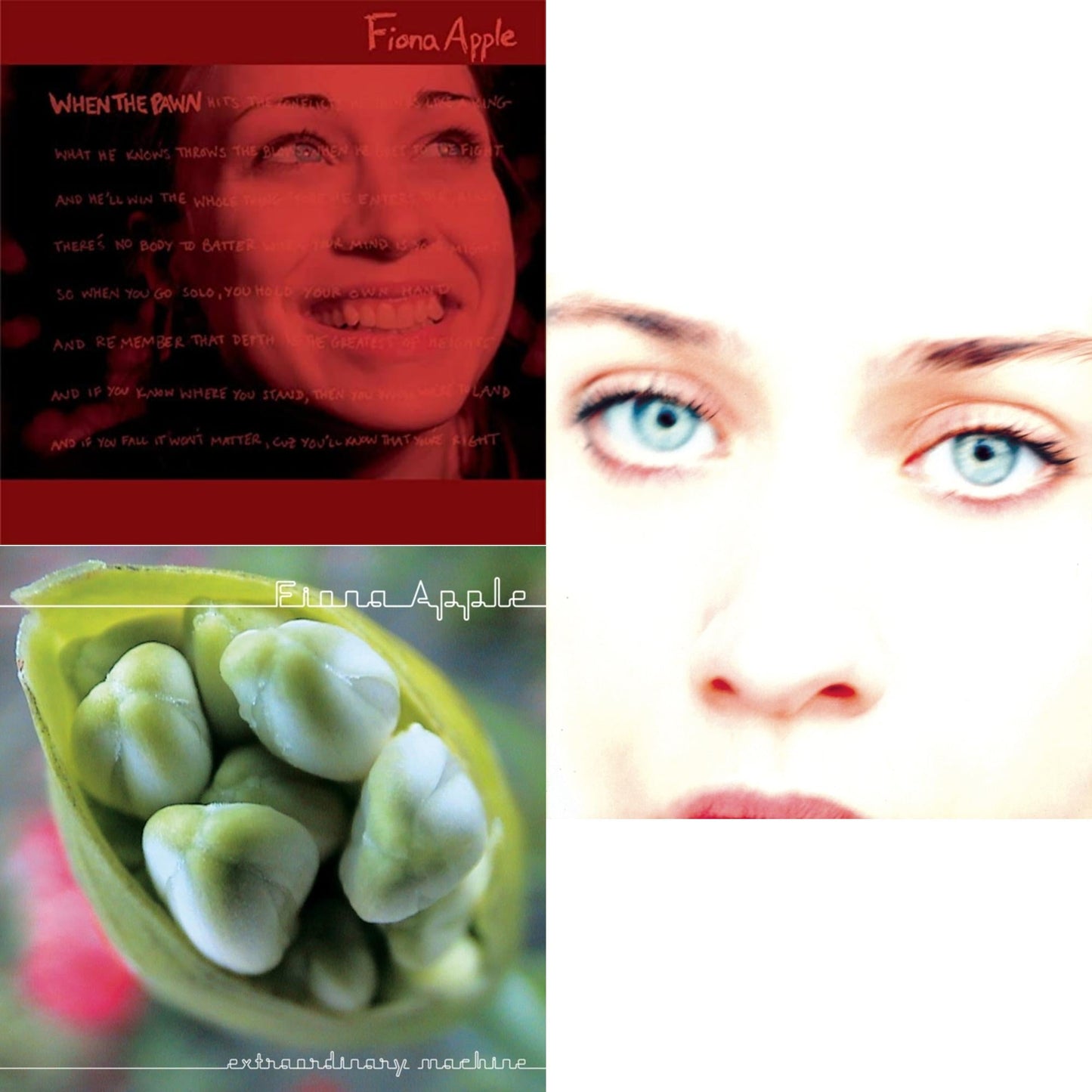 Extraordinary Machine & When The Pawn & Tidal