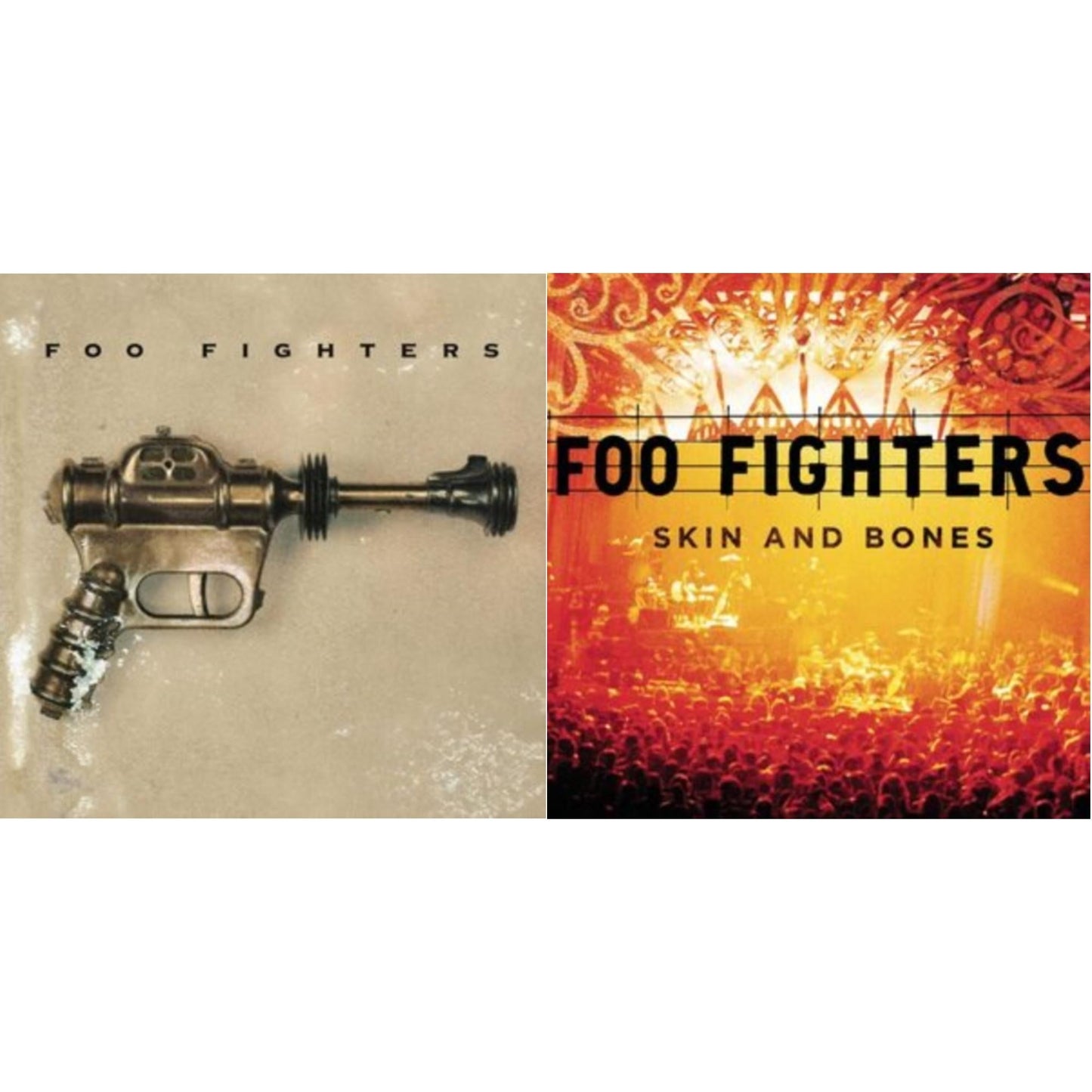 Foo Fighters (Dl Card) & Skin & Bones (2LP/Dl Card)