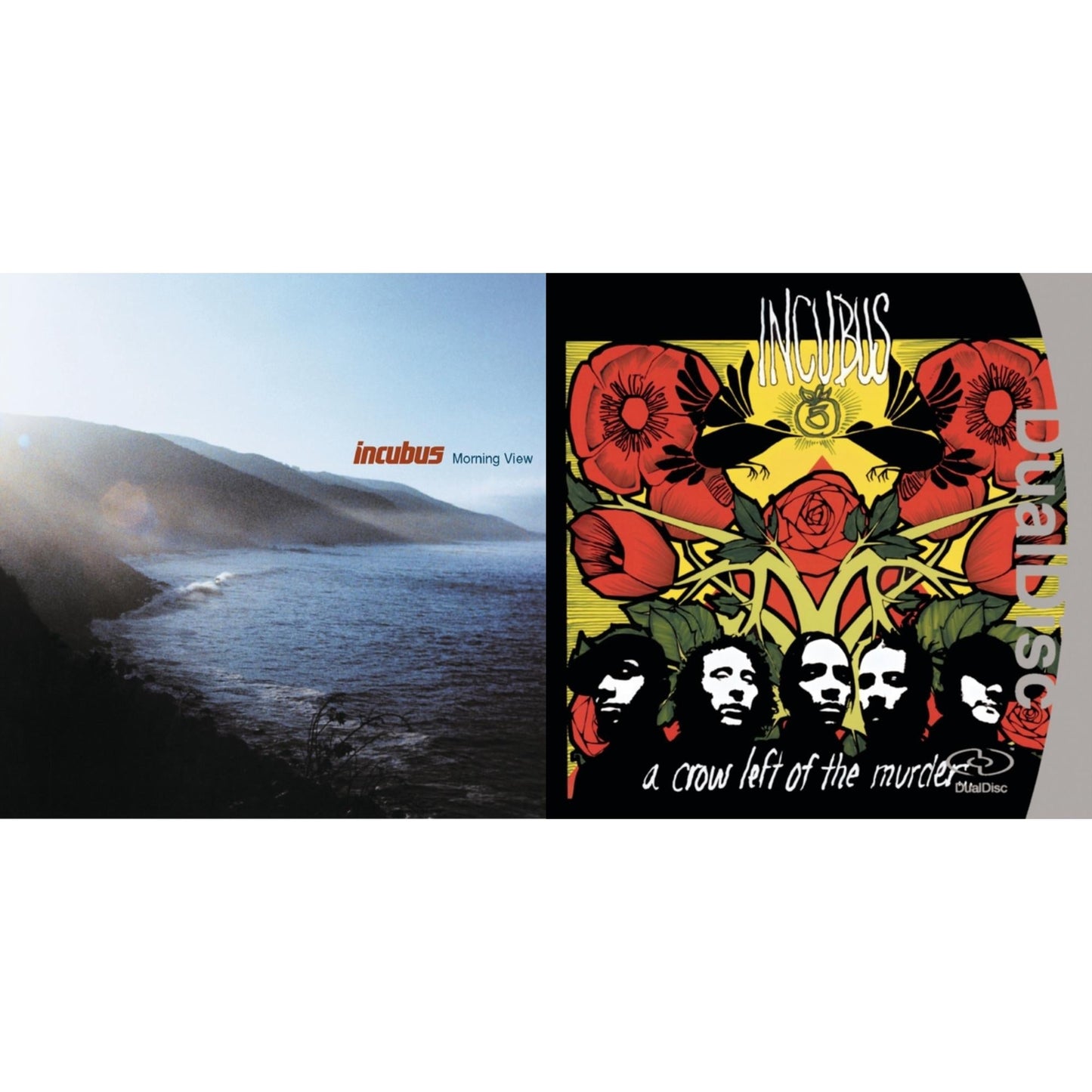 Crow Left Of The Murder & Morning View