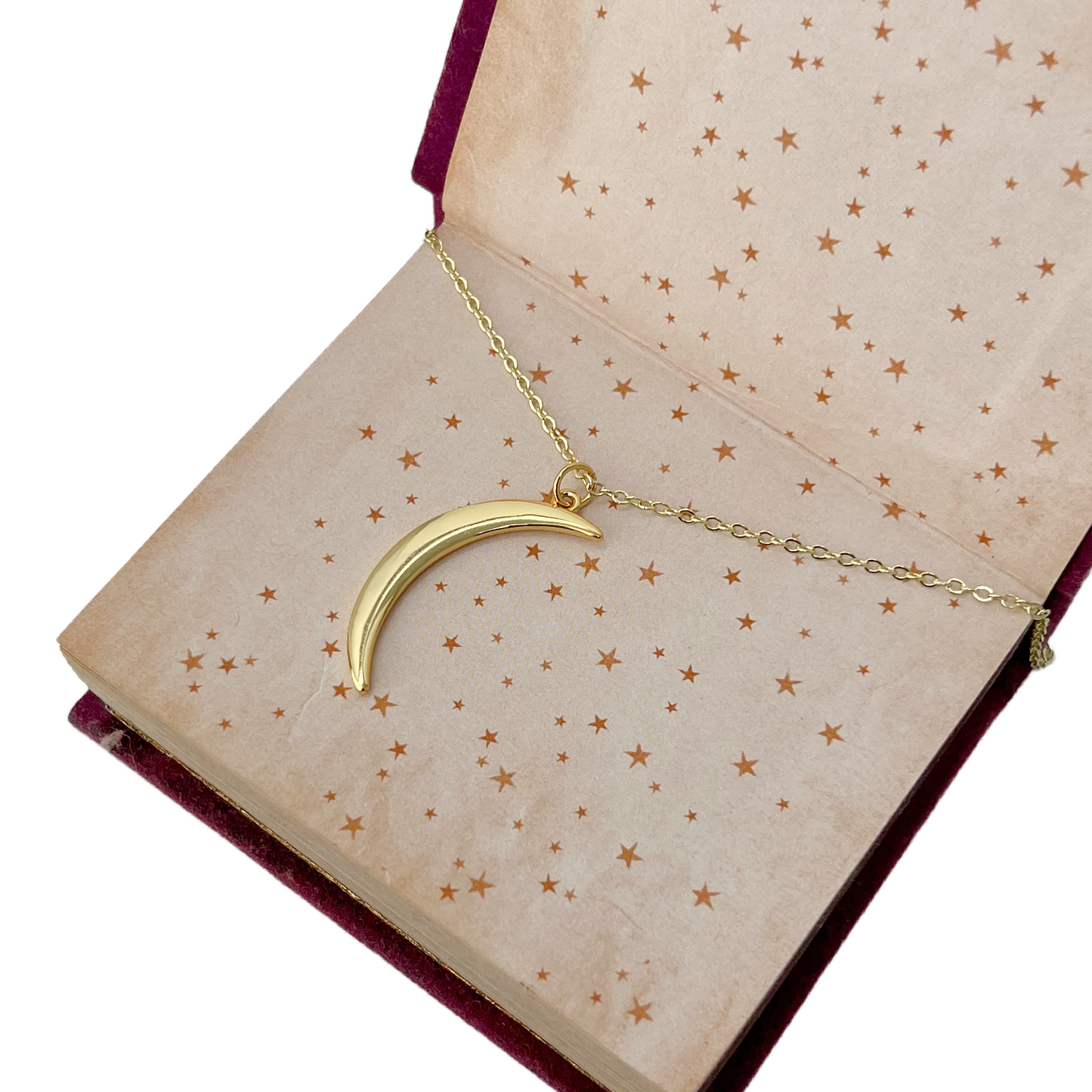 Delicate horn necklace