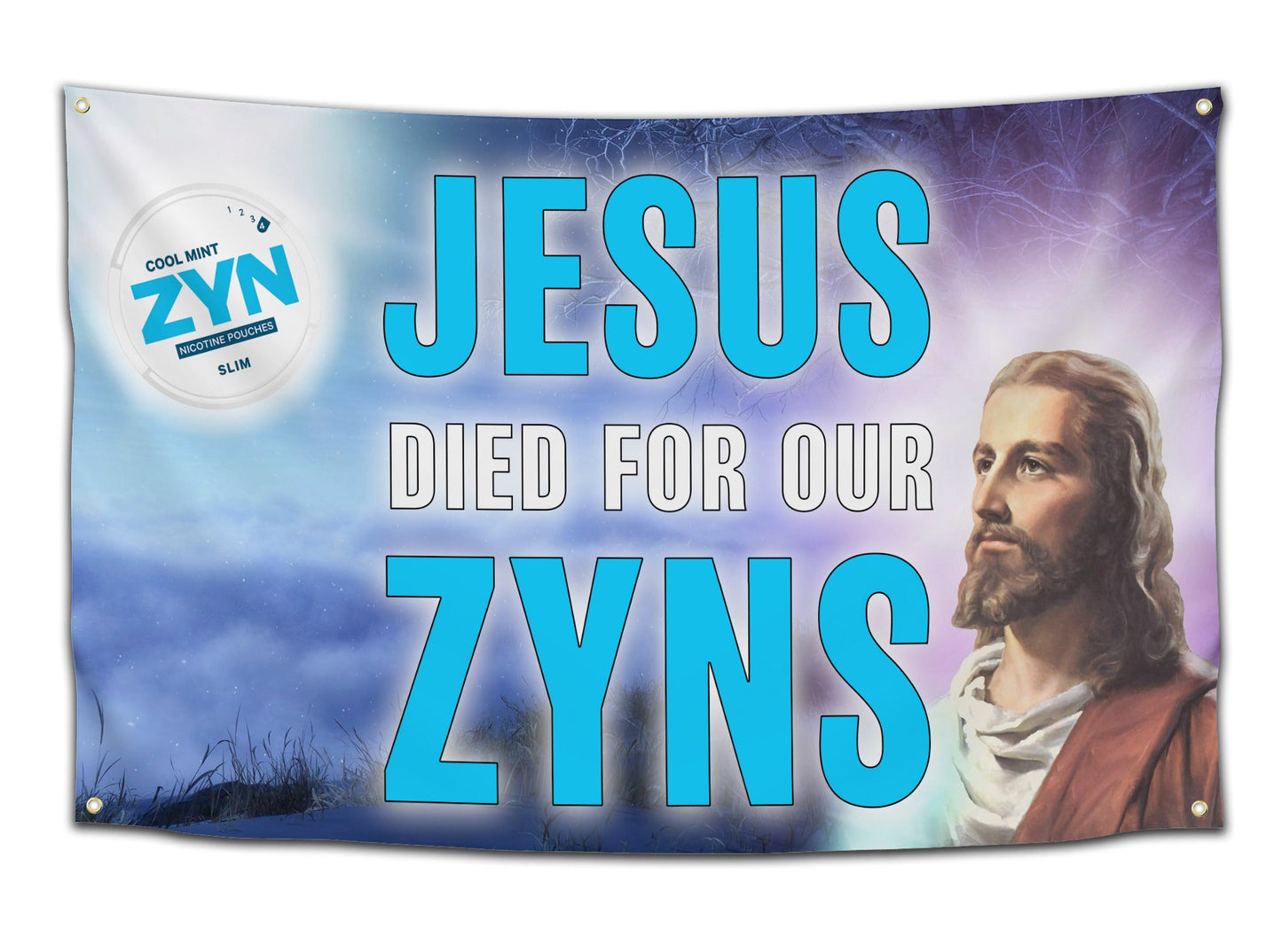 Jesus Died For Our Zyns