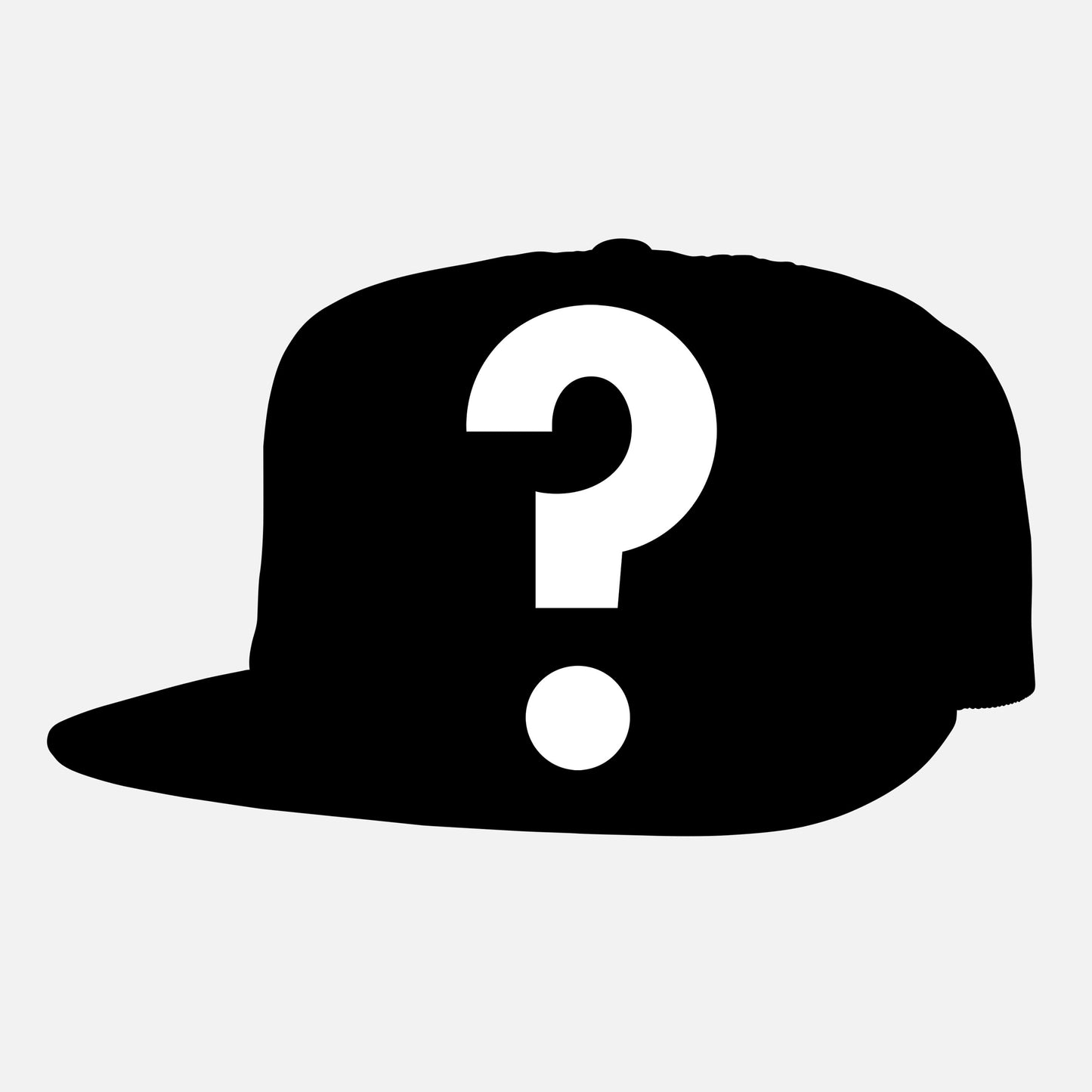 MYSTERY TRUCKER HAT / SALE ITEM!