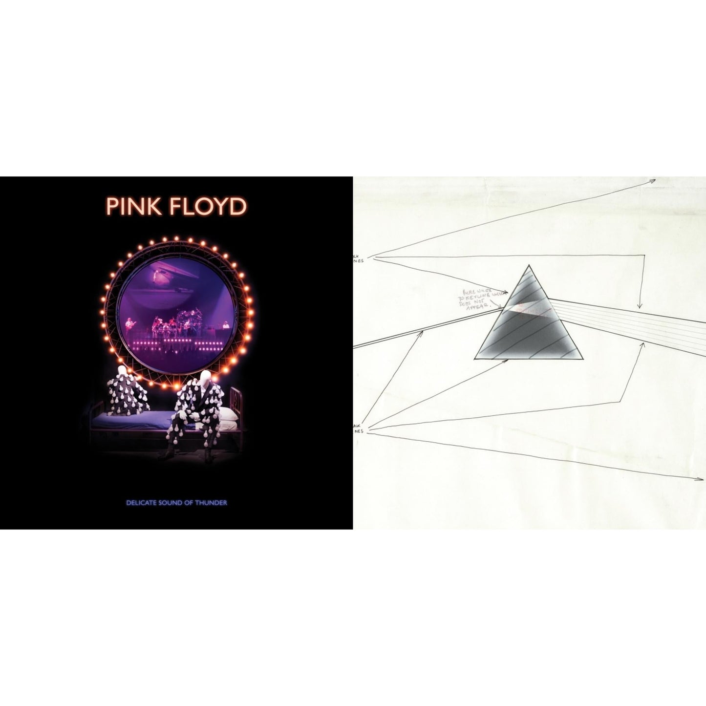 Delicate Sound Of Thunder (3LP) & Dark Side Of The Moon Live At Wembley Empire Pool 1974