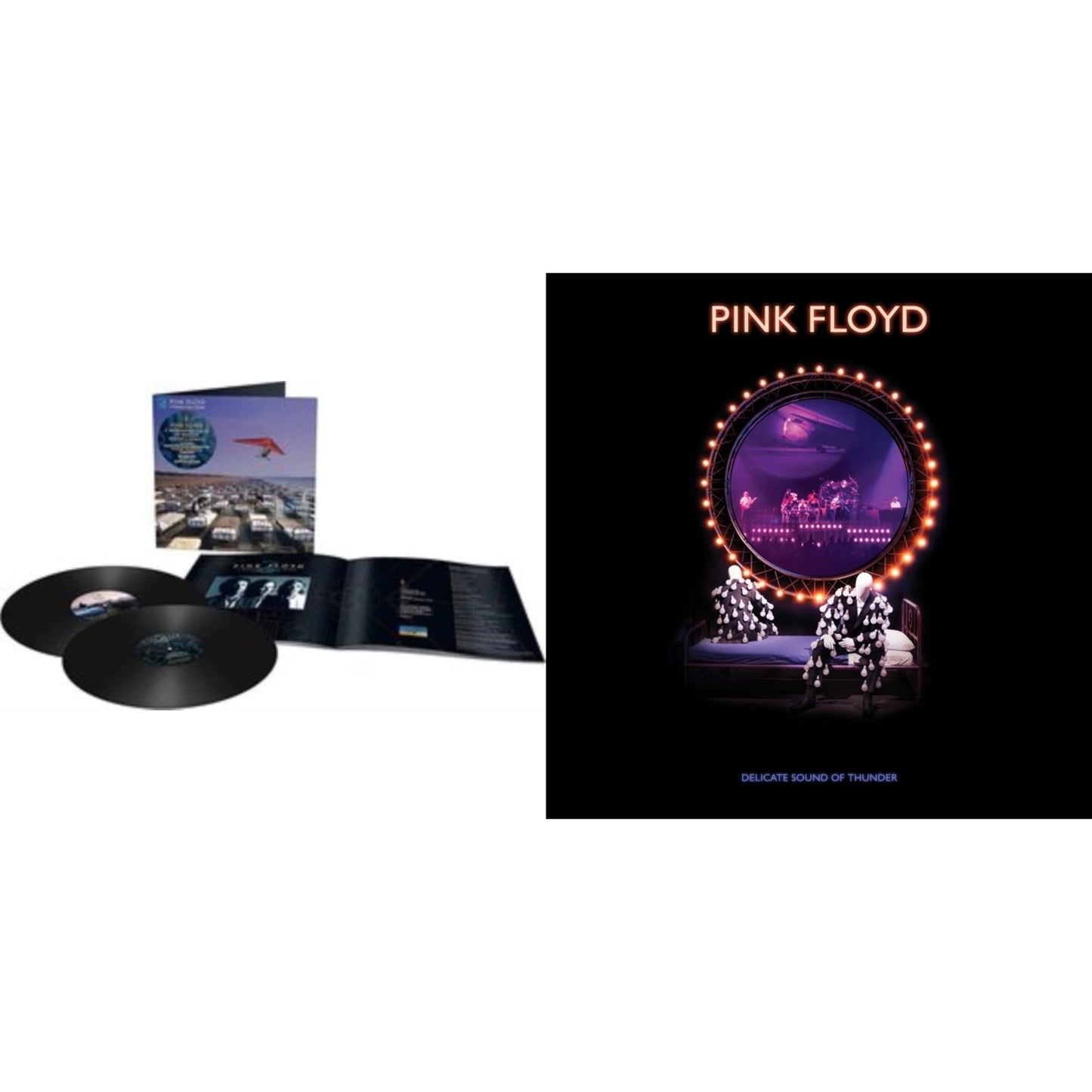 Momentary Lapse Of Reason (Remixed & Updated) (2LP/180G) & Delicate Sound Of Thunder (3LP)