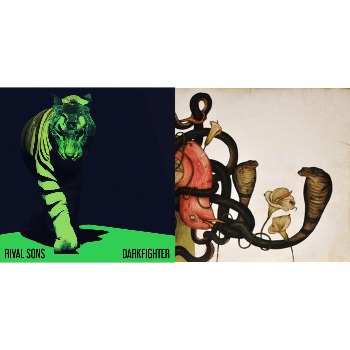 Darkfighter (Transparent LP Vinyl) & Head Down (2LP)