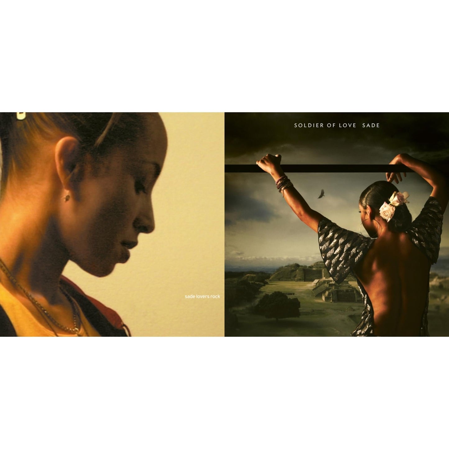 Lovers Rock & Soldier Of Love