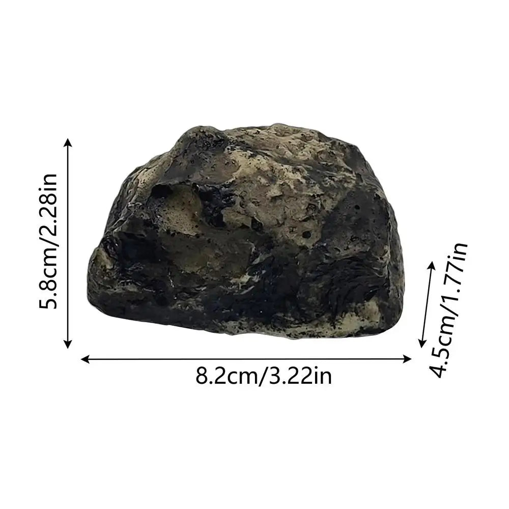 “Key to the Crypt” – Realistic Rock Key Hider Safe | Outdoor Garden Stone Security Cache - Premium cache from dsers - Just $3.99! Shop now at Lizard Vigilante
