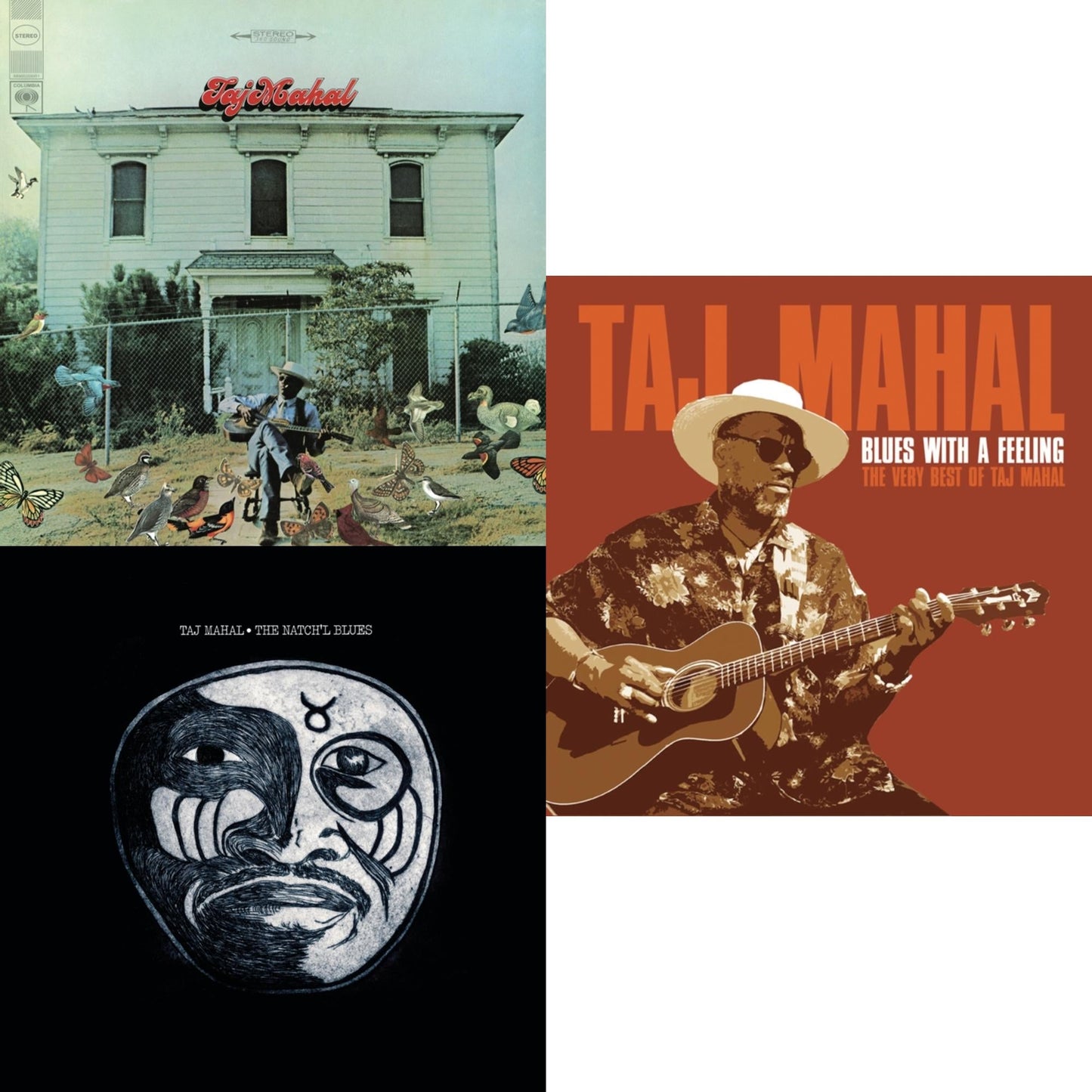 Taj Mahal & Natch'l Blues & Blues With A Feeling: Very Best Of