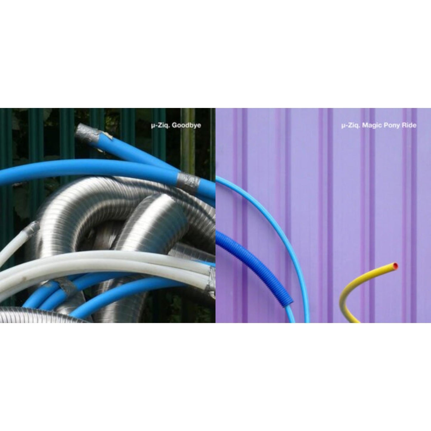 Goodbye & Magic Pony Ride (2LP)