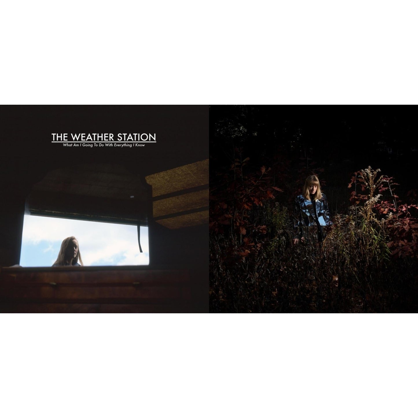 What Am I Going To Do With Everything I Know & Ignorance (Deluxe/Metallic Silver Vinyl/2LP)