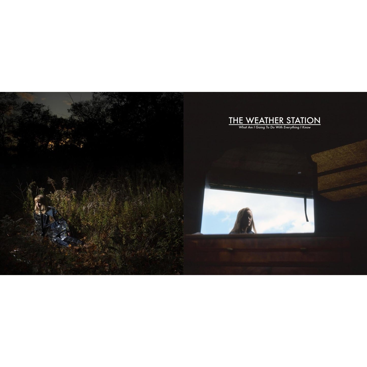 Ignorance (Silver LP Vinyl) (I) & What Am I Going To Do With Everything I Know