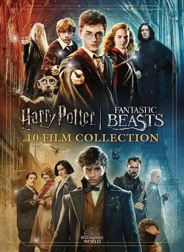 Wizarding World 10-Film Collection (20th Anniversary) (DVD)