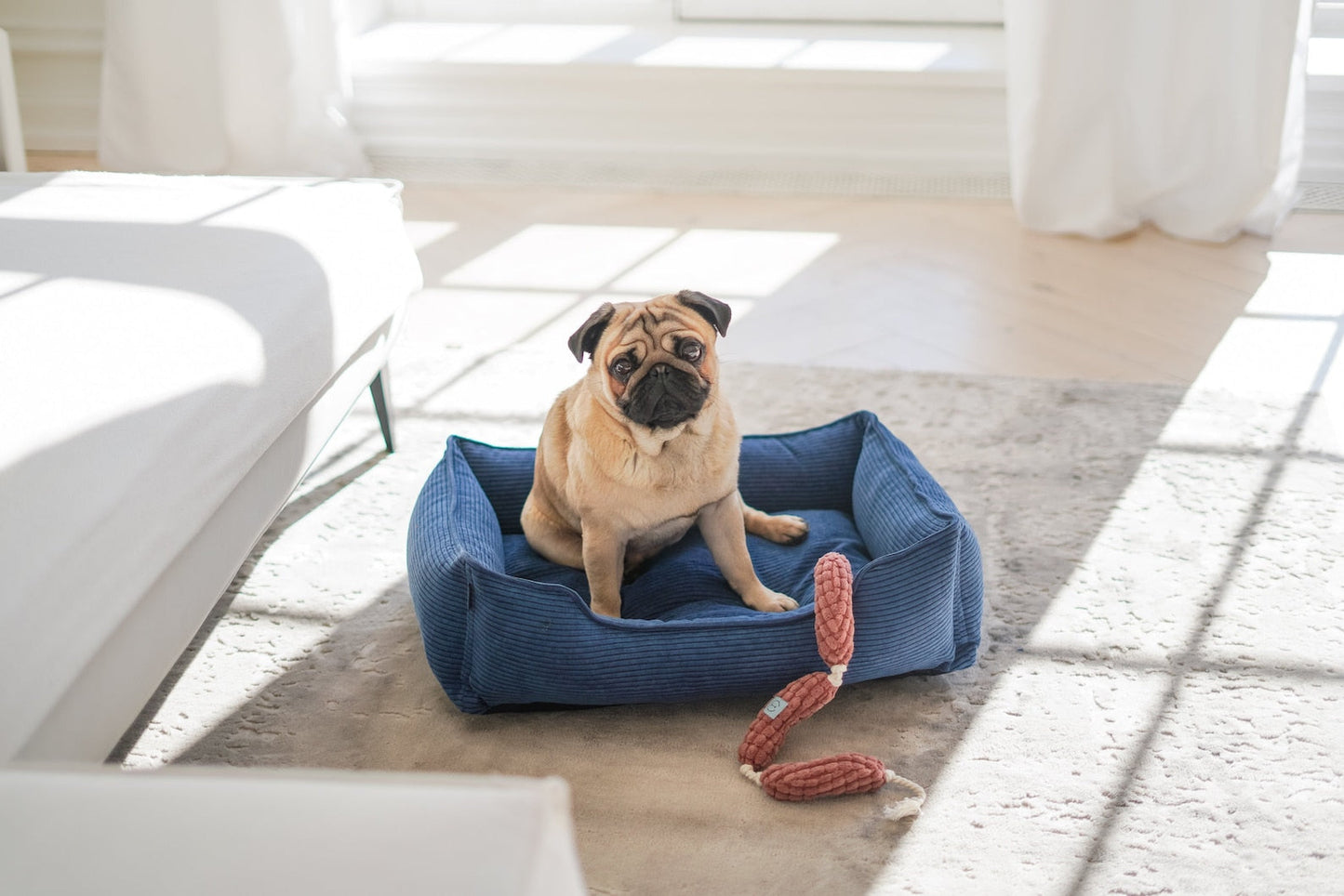 Pet Toy - Long Sausages