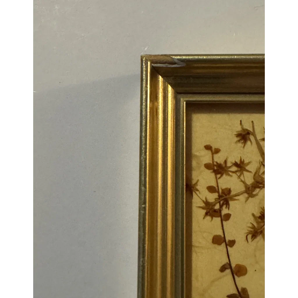 Vintage West Germany Dried Flower Art 1972 Framed Botanical Beauty